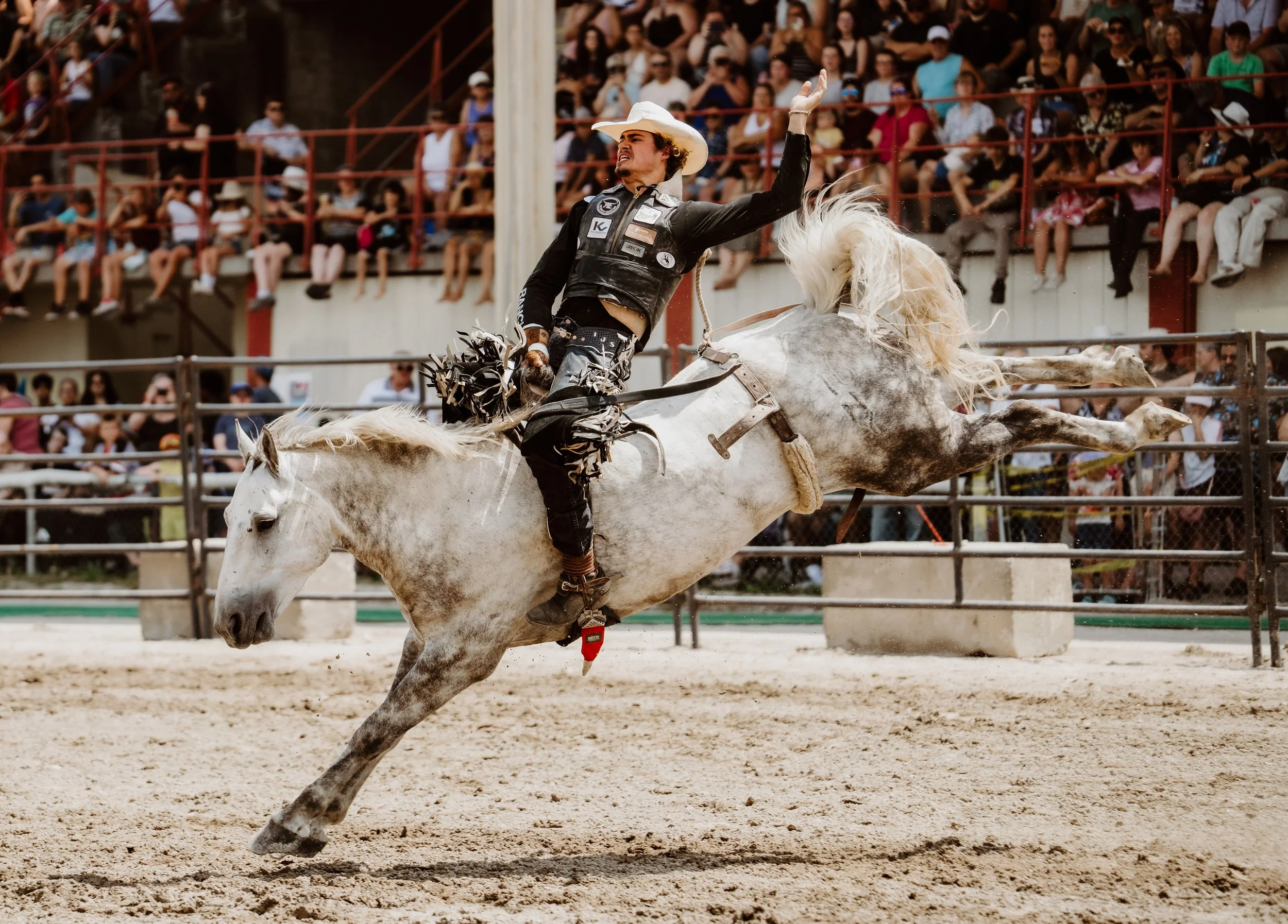 woodstock-ontario-rodeo-saddle-bronc-photographer (4).jpg