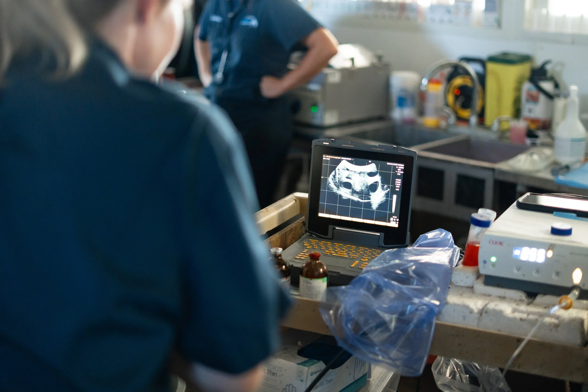 kirkton-veterinarian-working-documentary-photos-embryo-services (18).jpg