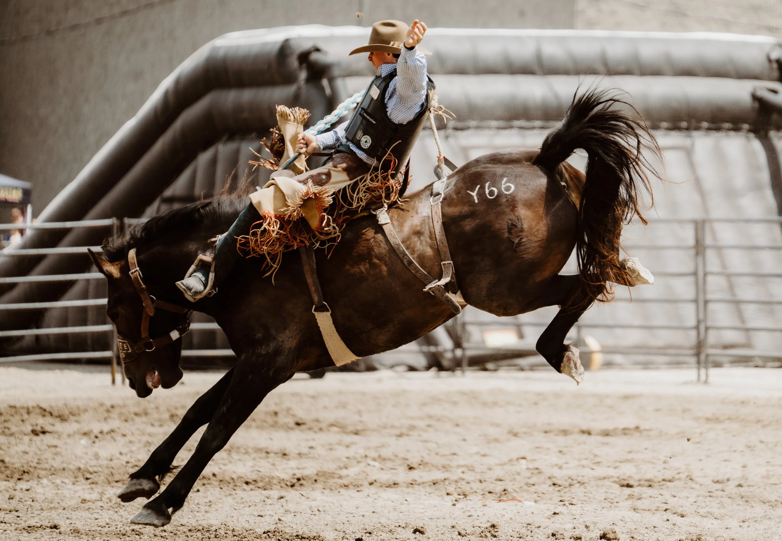 woodstock-ontario-rodeo-saddle-bronc-photographer (6).jpg