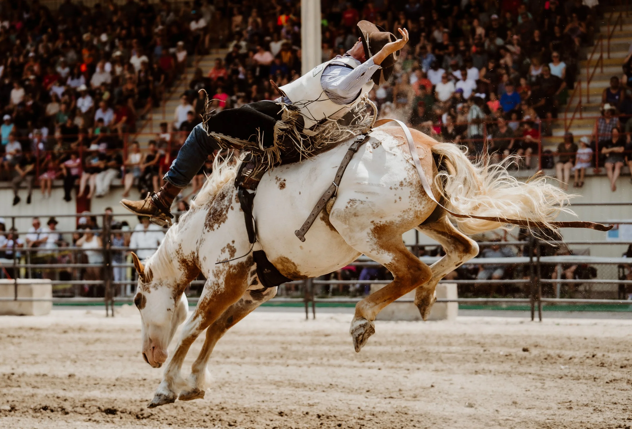 woodstock-ontario-rodeo-saddle-bronc-photographer (1).jpg