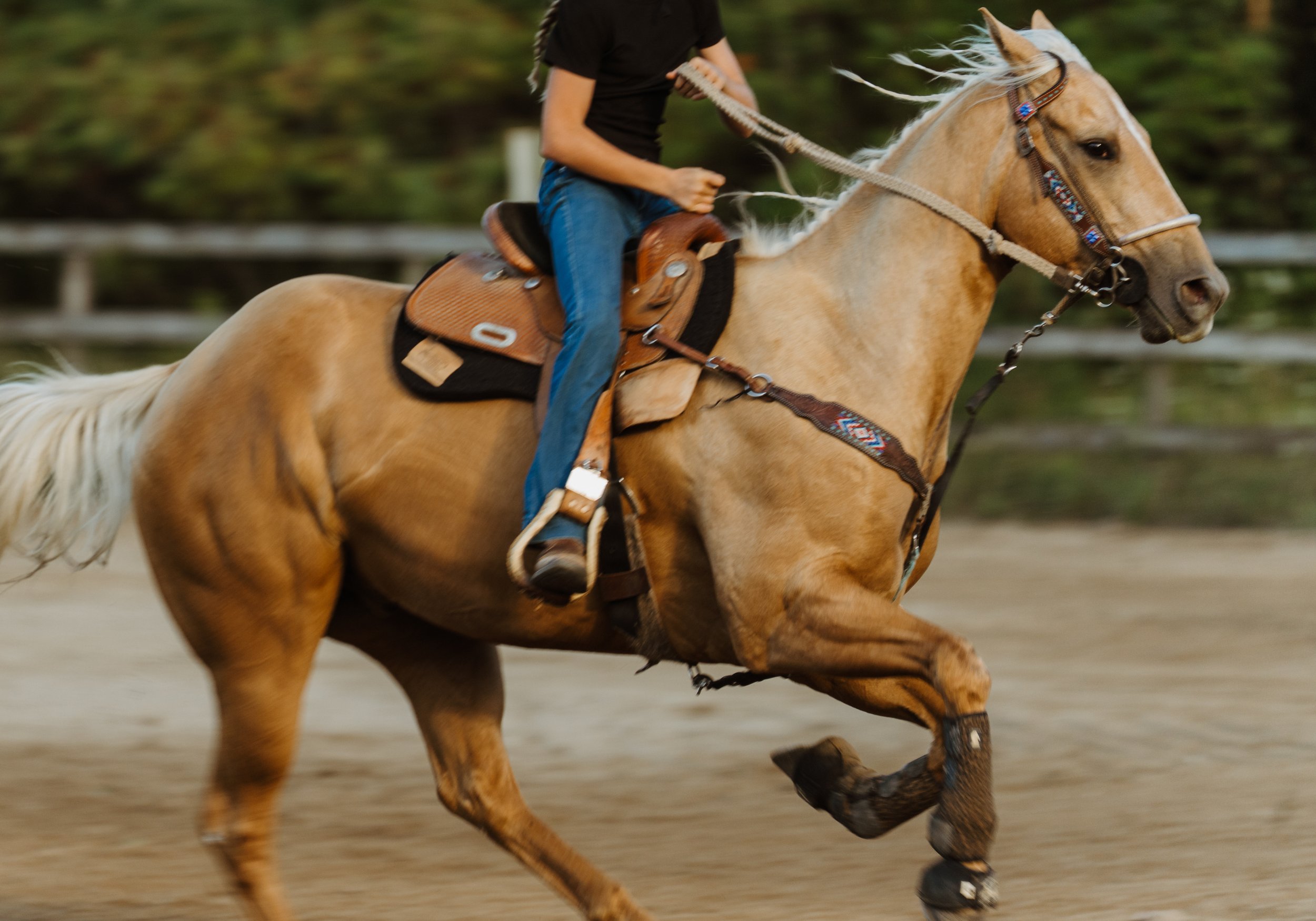 northern-star-series-jackpot-images (1).jpg