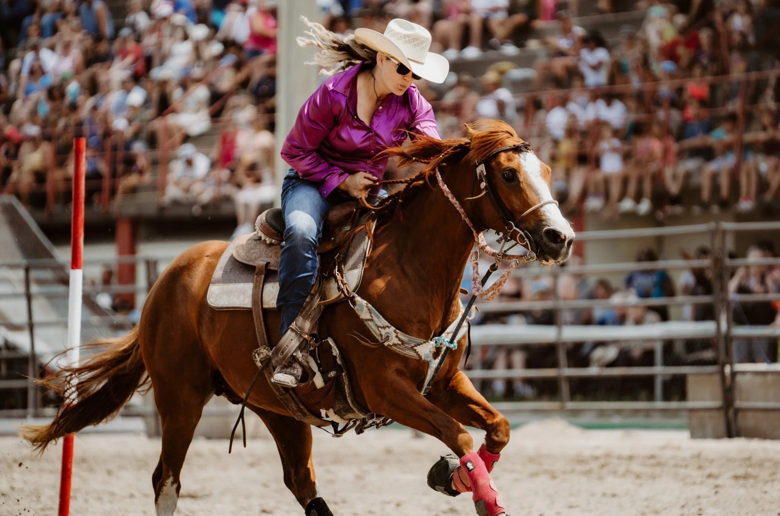 woodstock-rodeo-2025-ipra-images-ontario-photographer (1).jpg