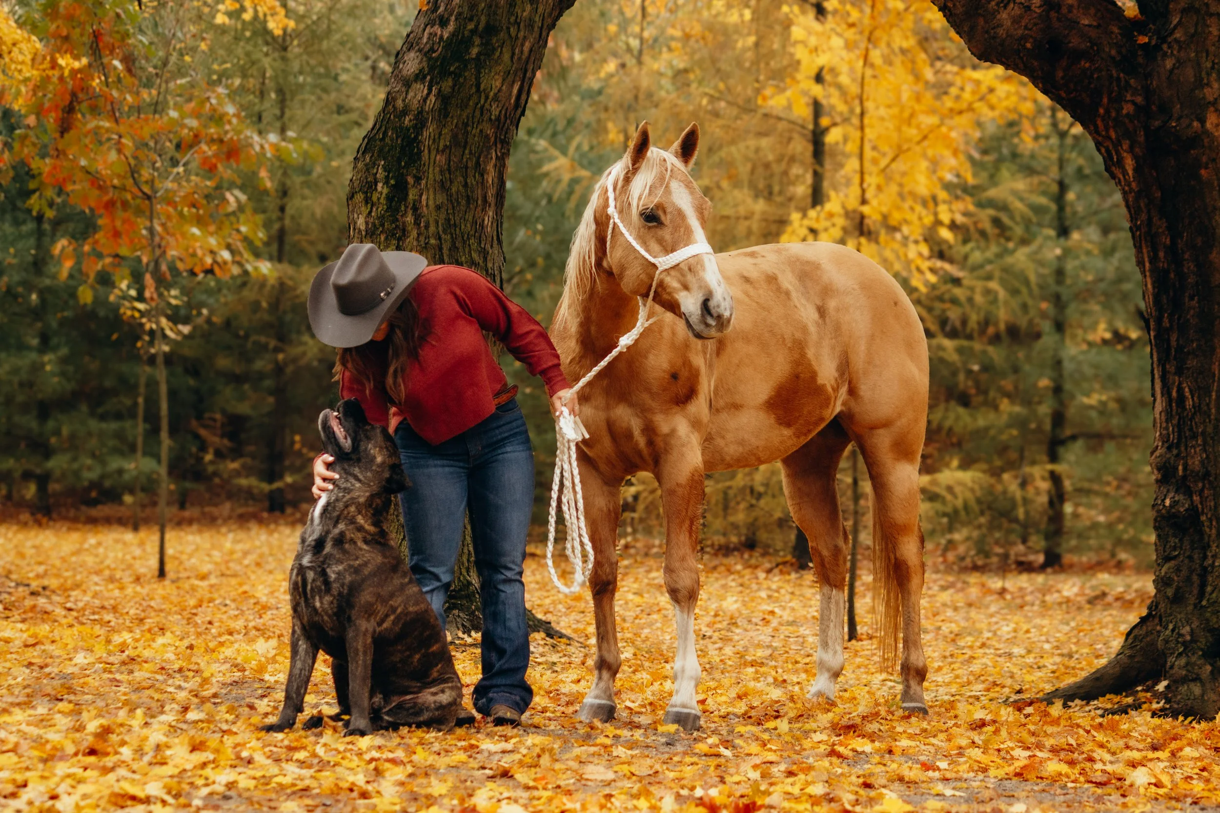 autumn-equine-western-photoshoot-lakeside-ontario (1).jpg
