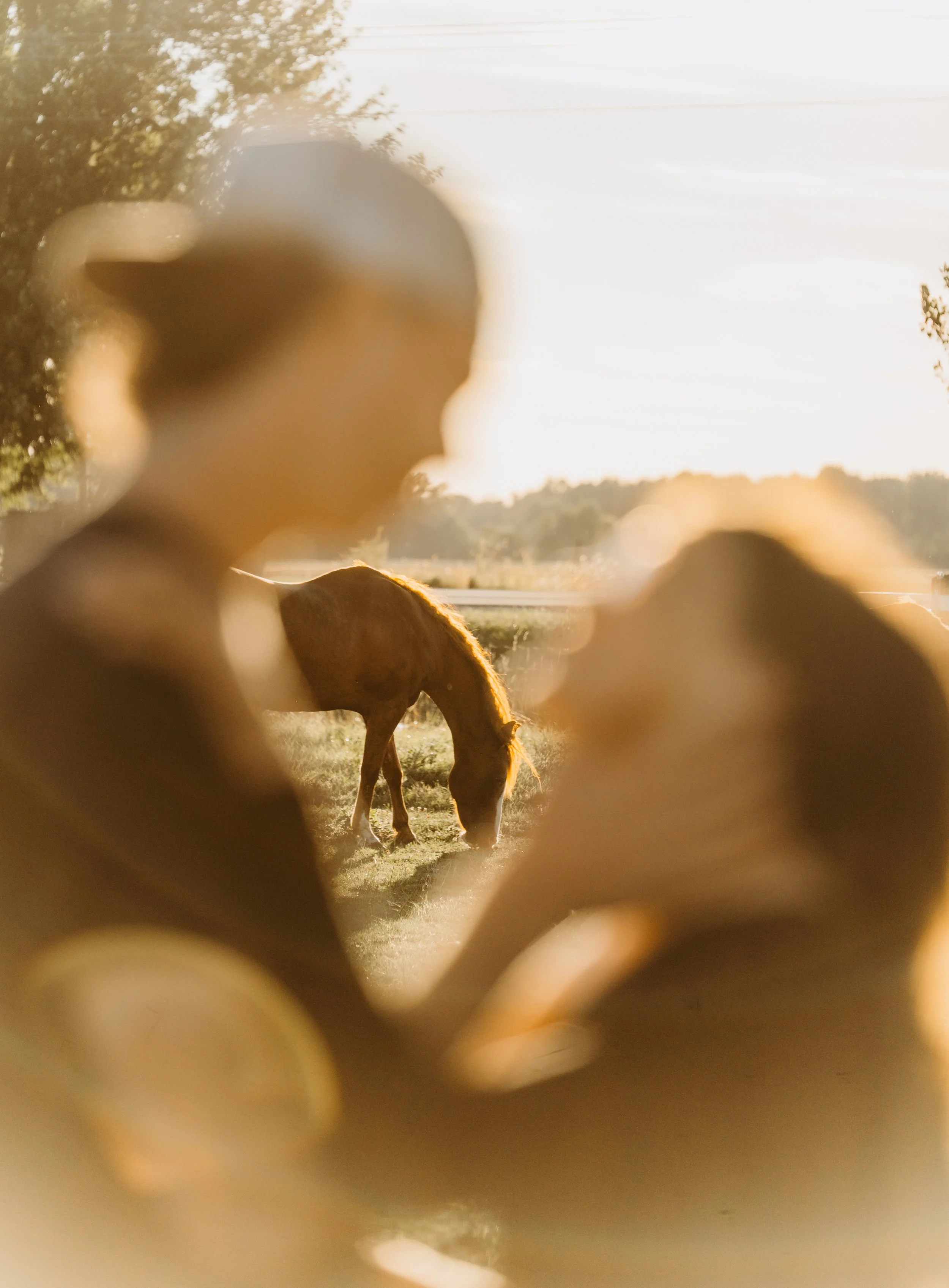 southern-ontario-golden-hour-couples-photos-western-horses (21).jpg