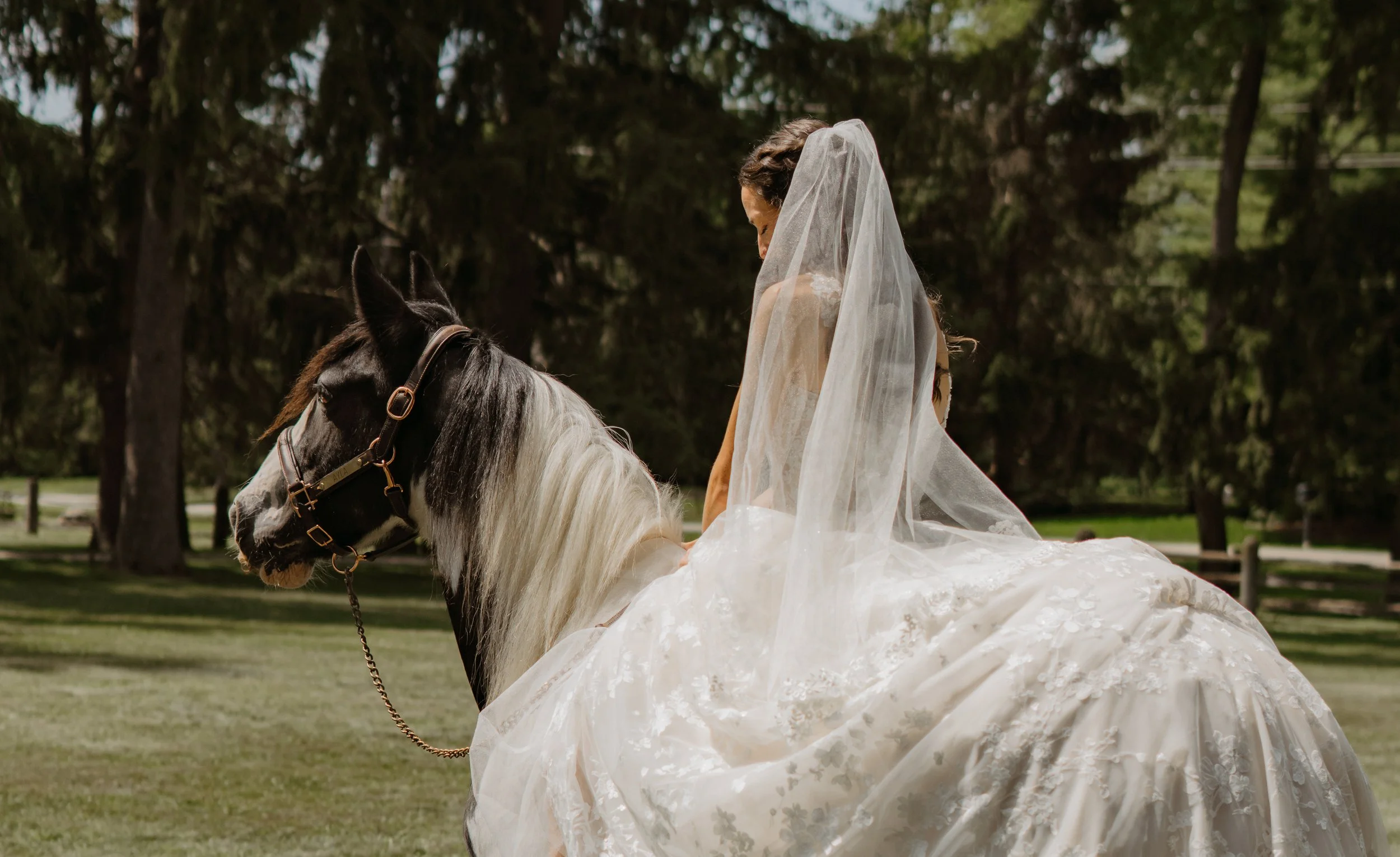 wedding-horse-bride-dress-documentary-photos (7).jpg