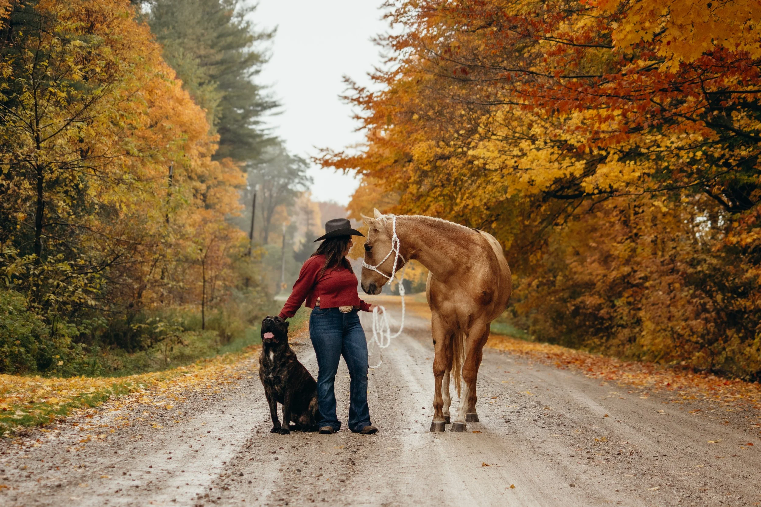 autumn-equine-western-photoshoot-lakeside-ontario (2).jpg