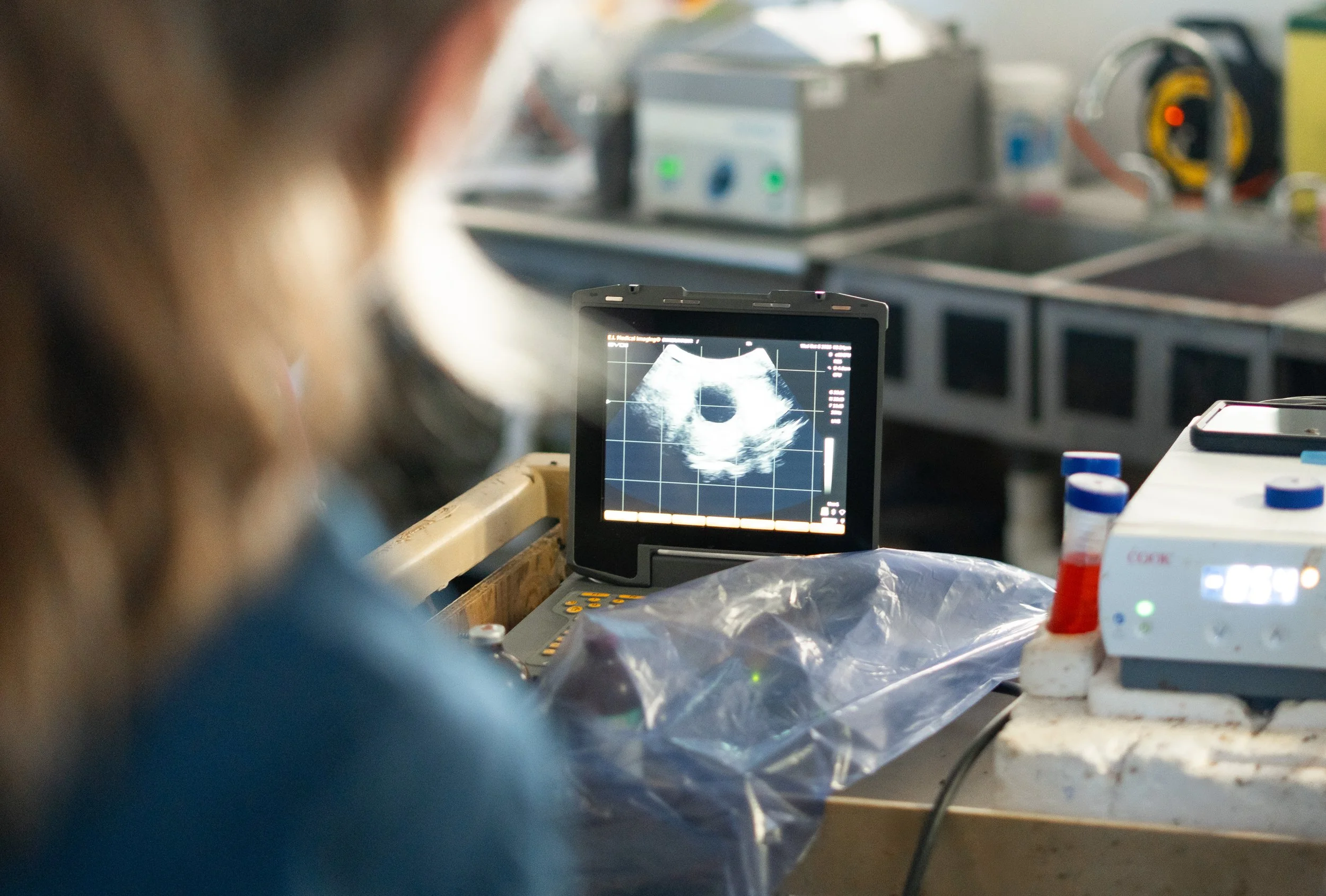 kirkton-veterinarian-working-documentary-photos-embryo-services (5).jpg