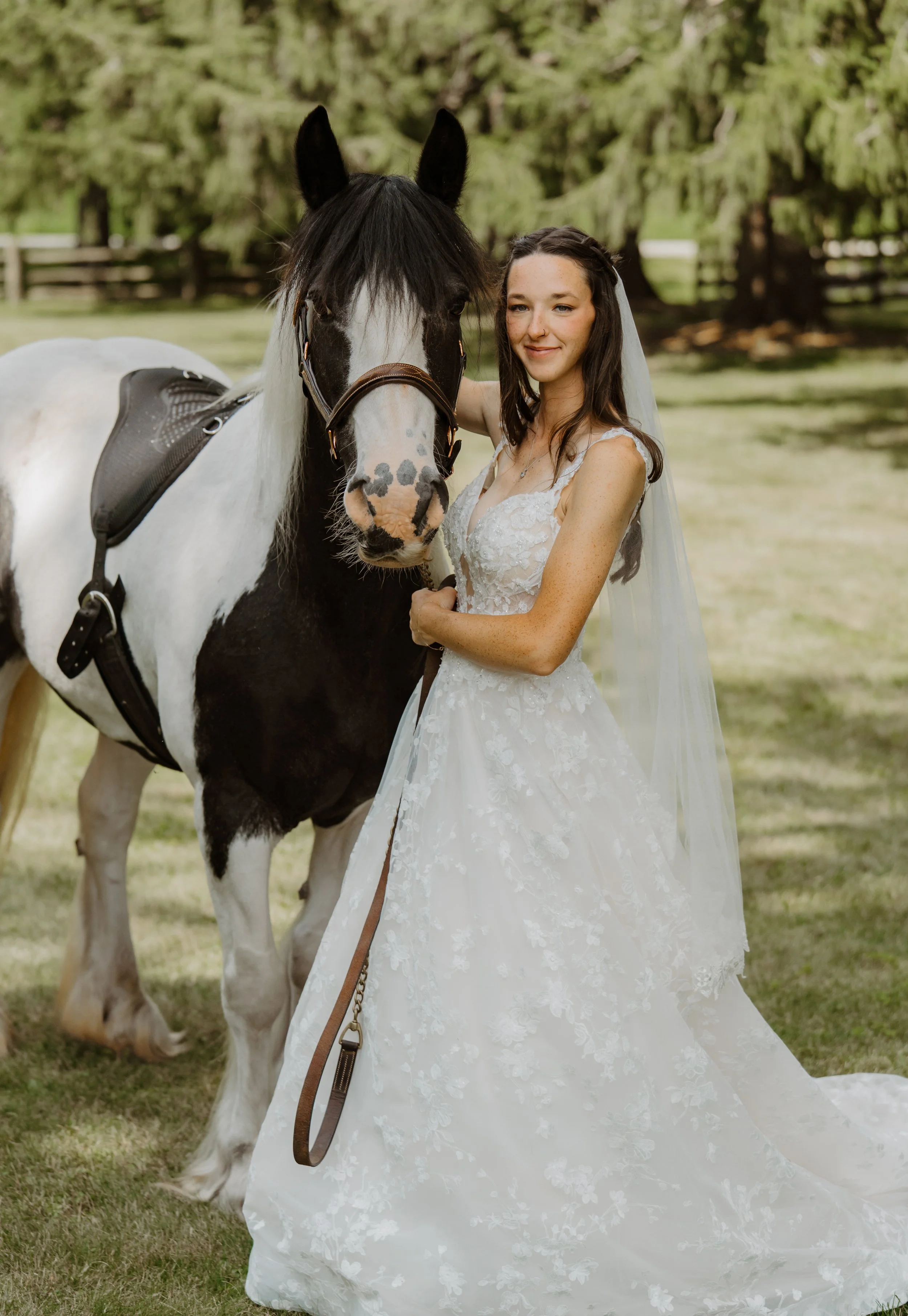 wedding-horse-bride-dress-documentary-photos (3).jpg
