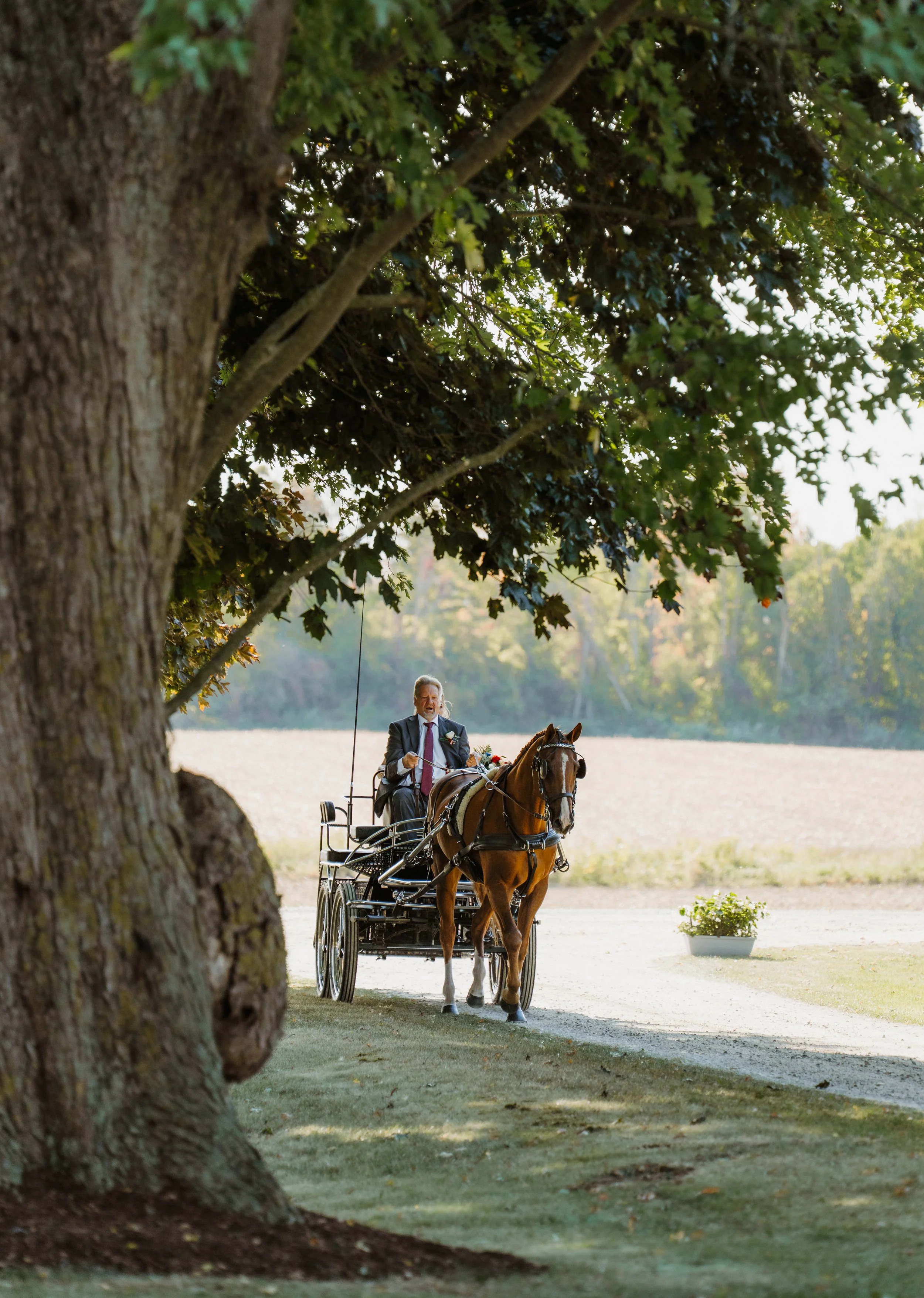 farm-wedding-ceremony-horses-ontario-photographer (7).jpg
