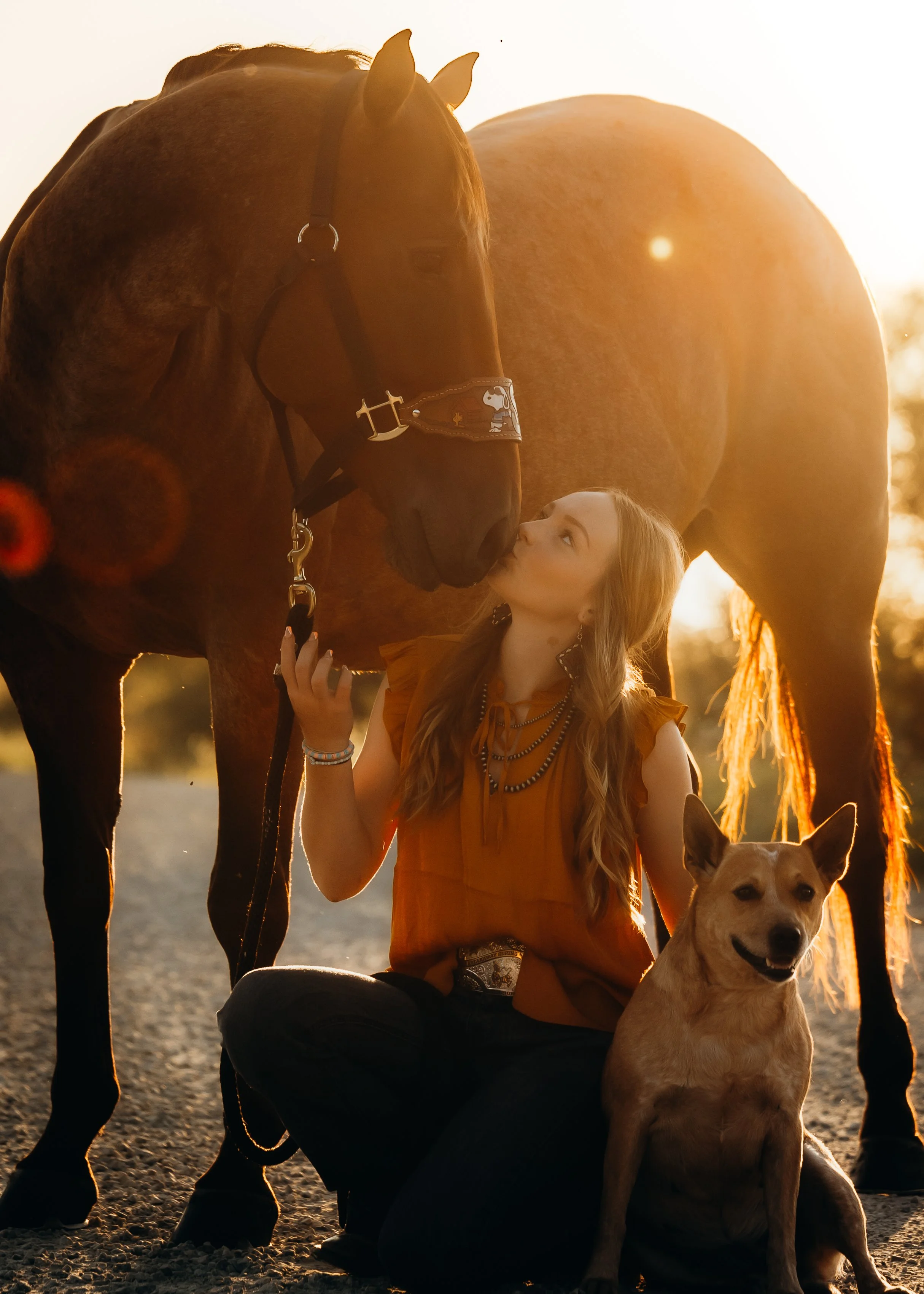 golden-hour-horse-photoshoot (4).jpg