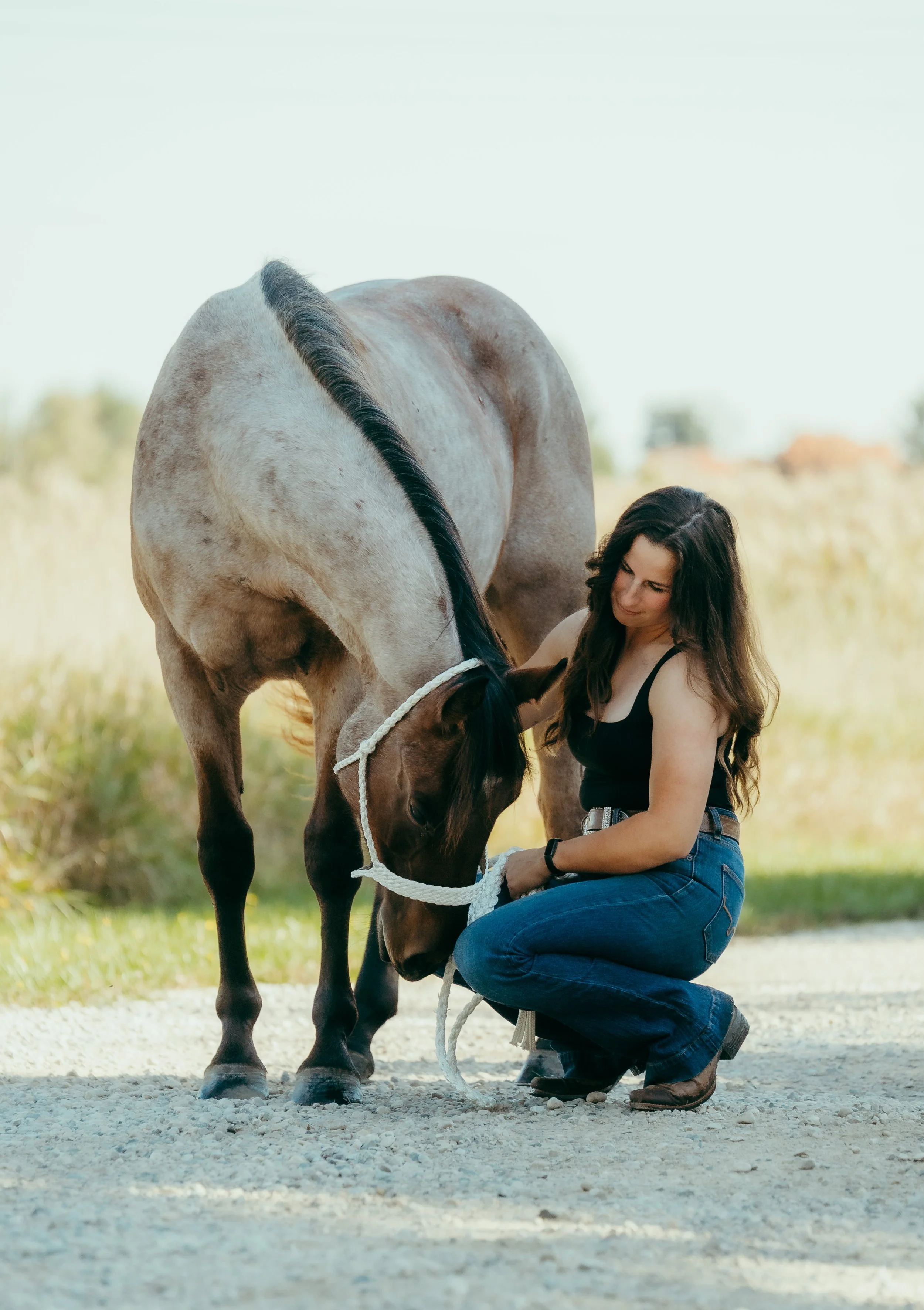 horse-western-style-photoshoot-ontario-michigan (4).jpg