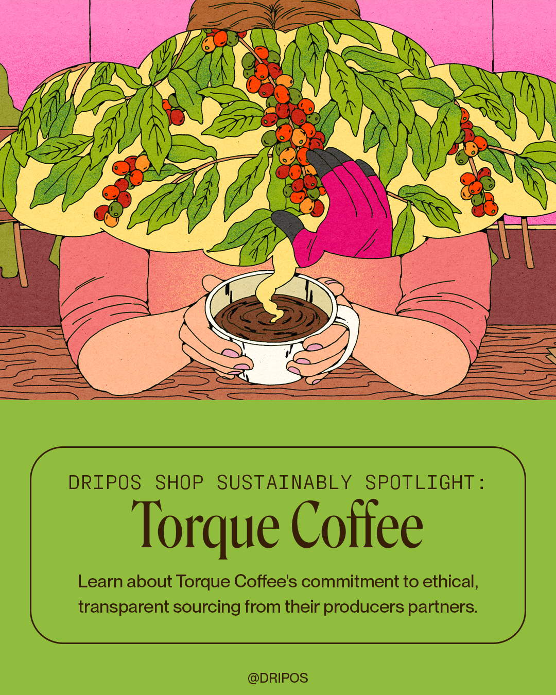 shop-sustainably-feature-1-torque.png