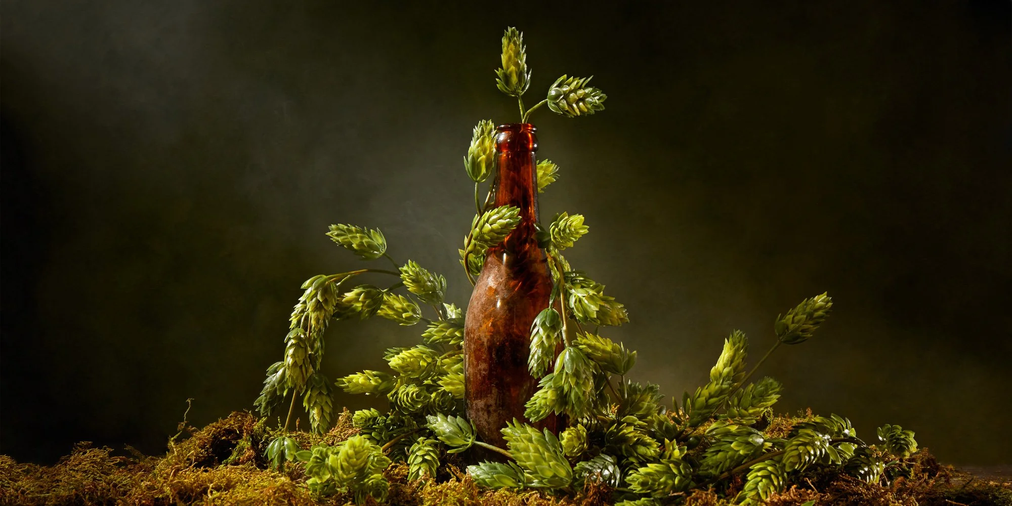 Photo: Aaron Bernstein