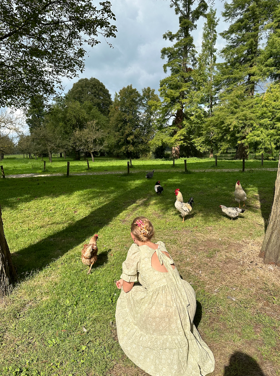 Screenshot 2026-02-14 at 4.52.41 PM.png