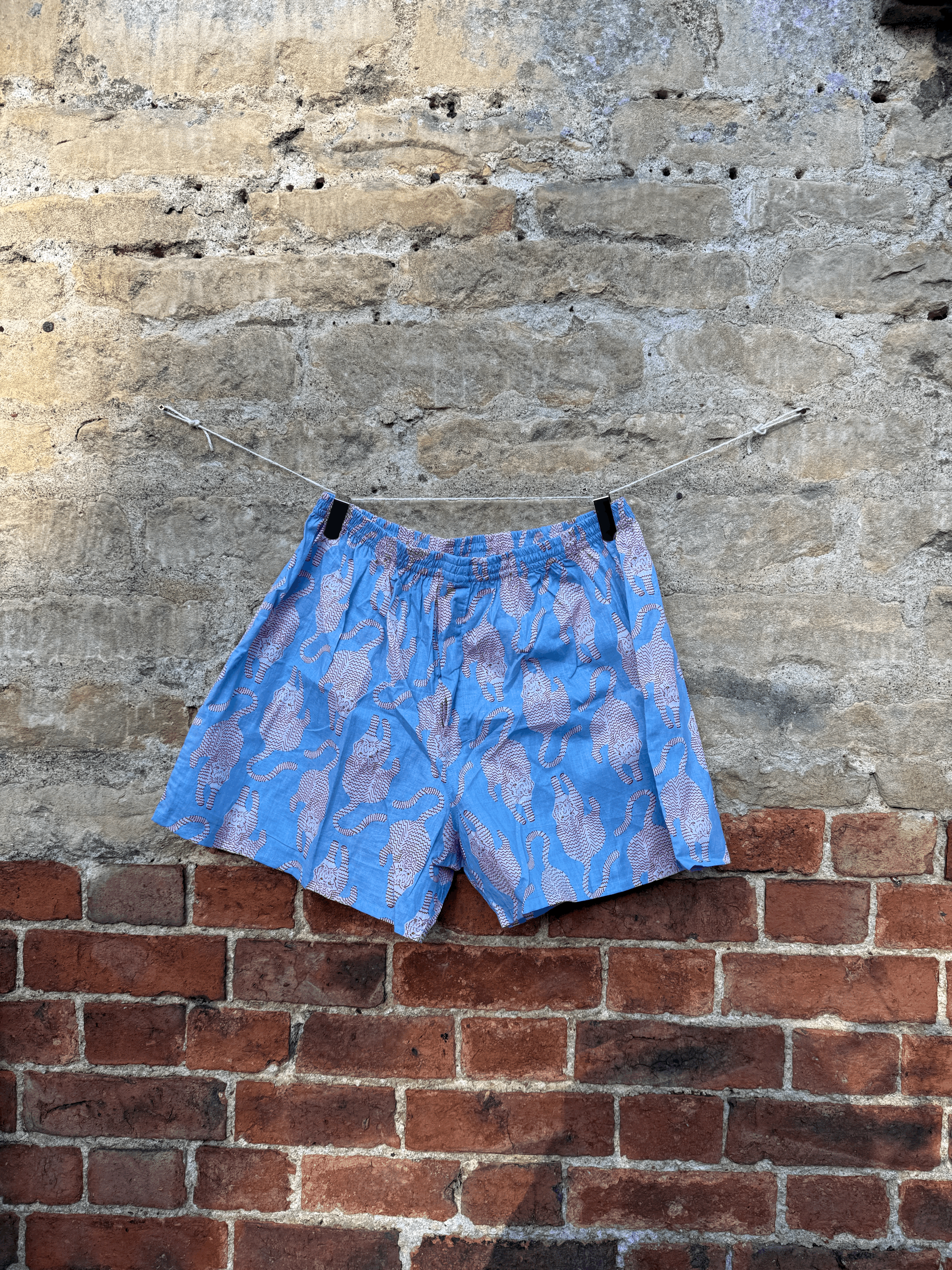 Blue Tiger Mens Boxers