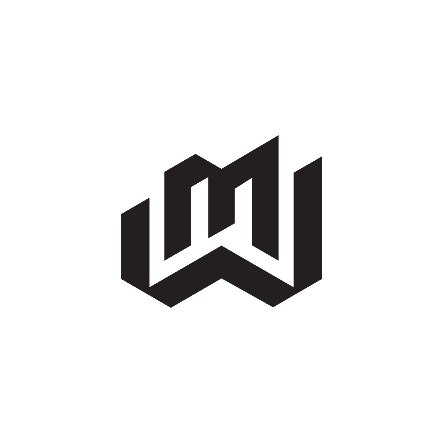 Logofolio_MountainWest.jpg