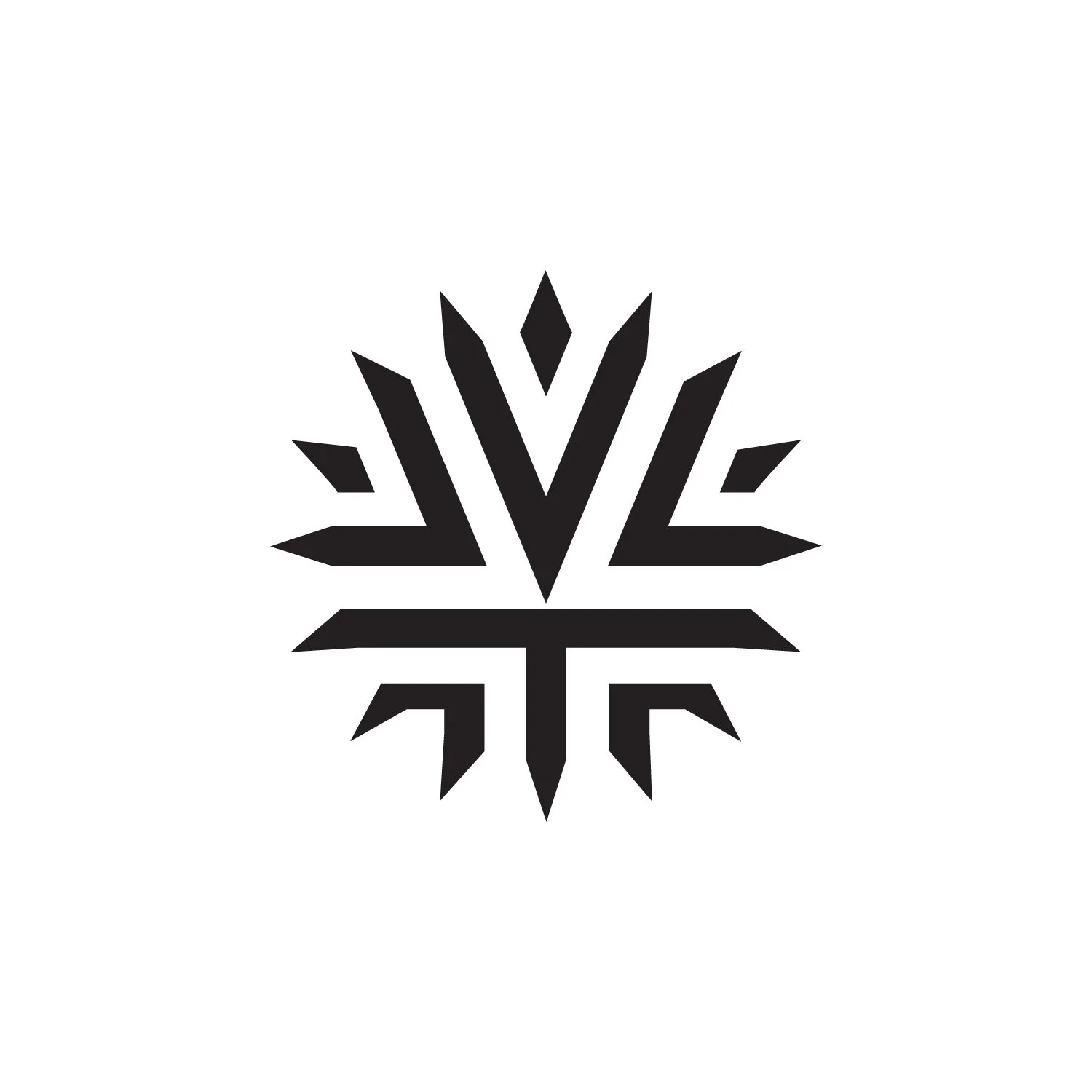Logofolio_Vaztek.jpg