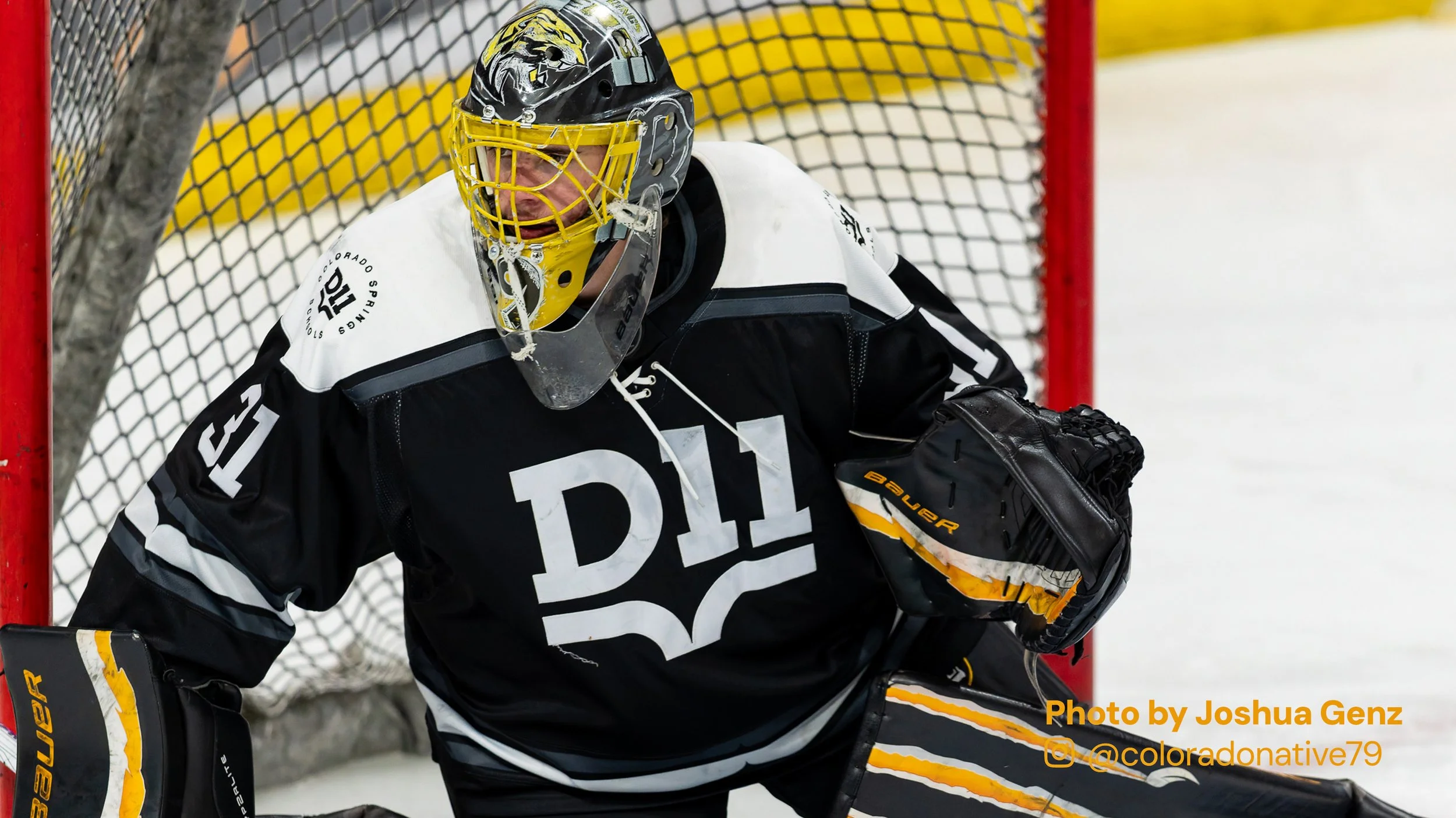 D11_Hockey2.jpg