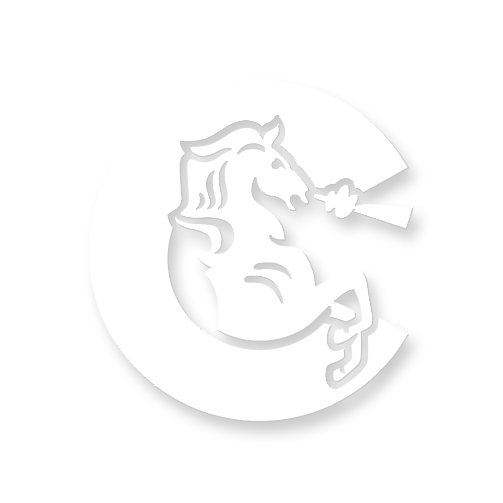 1-Color Auto Window Decal (4