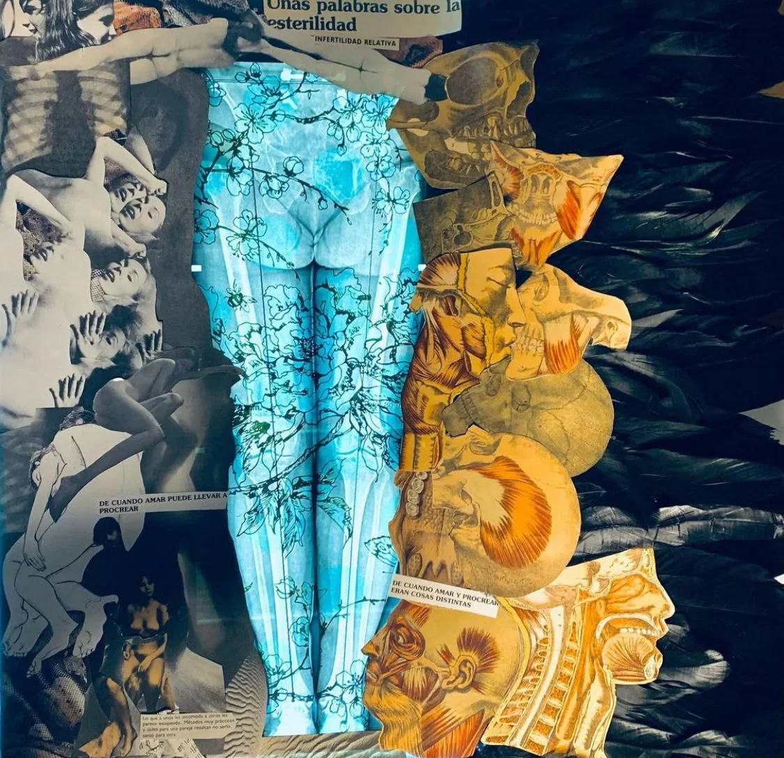 " El nacimiento de la buitre infértil " 2024