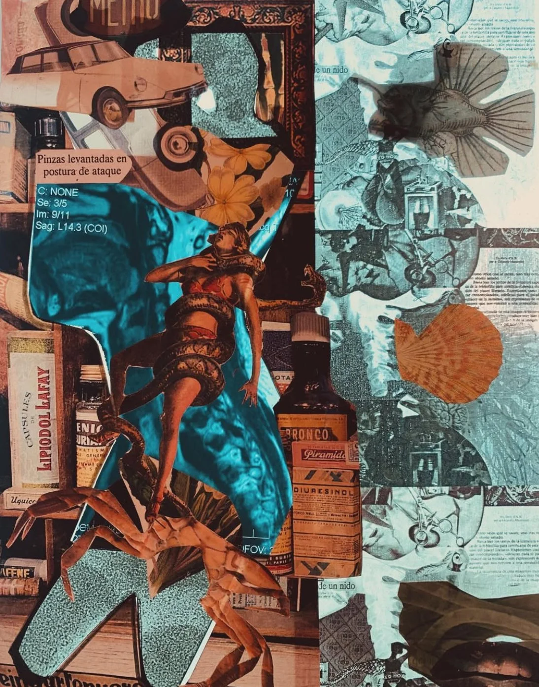 " A pie: hacia la auto-constricción de los problemas mundanos" 2024