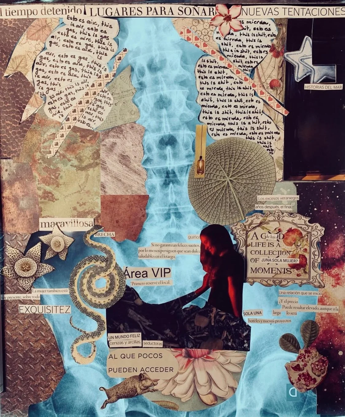 " The dirties soil and myself" 2022