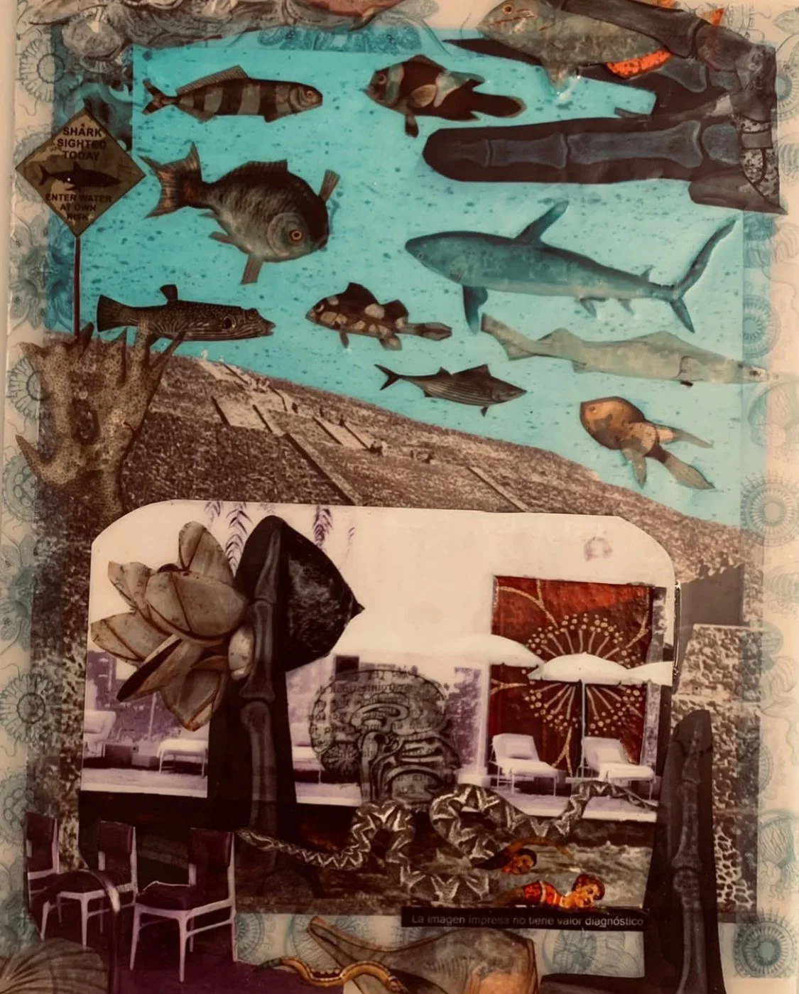 " Coughing fishes in the Hercules´sky" 2024