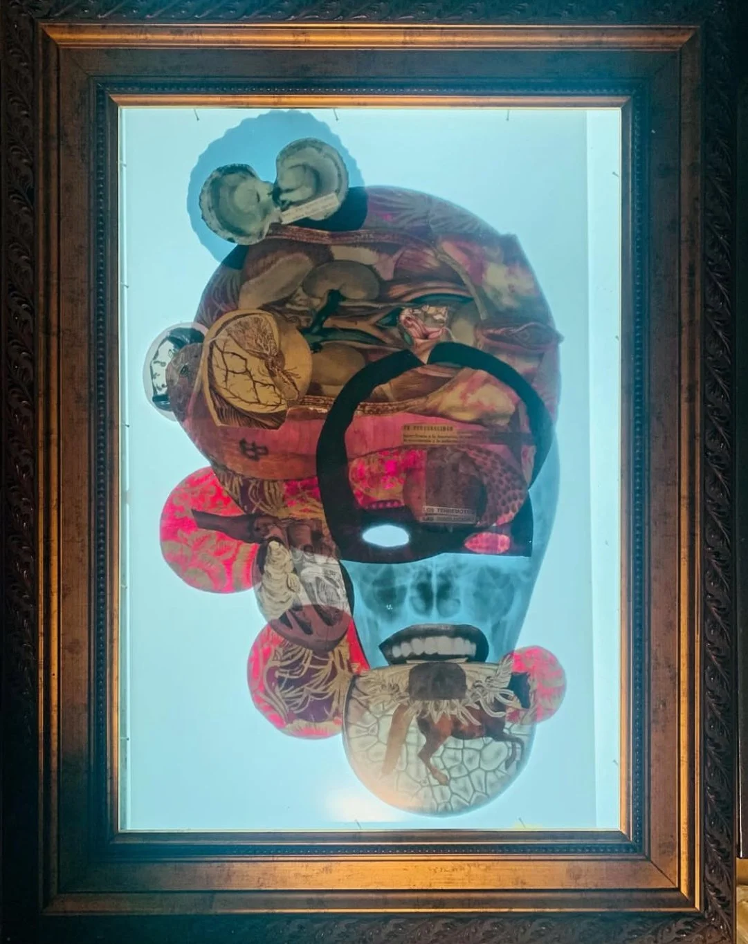 "From the corpse of a snake a freshly open queen scallop rise" 2023