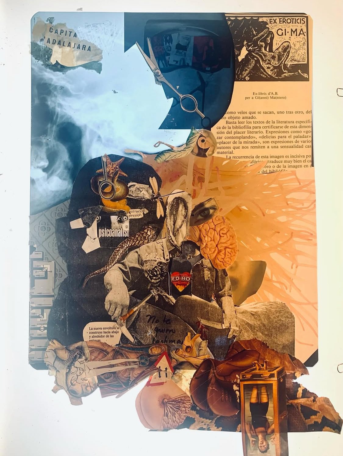 "No te quiero lastimar, te lastimé, disculpame" 2025