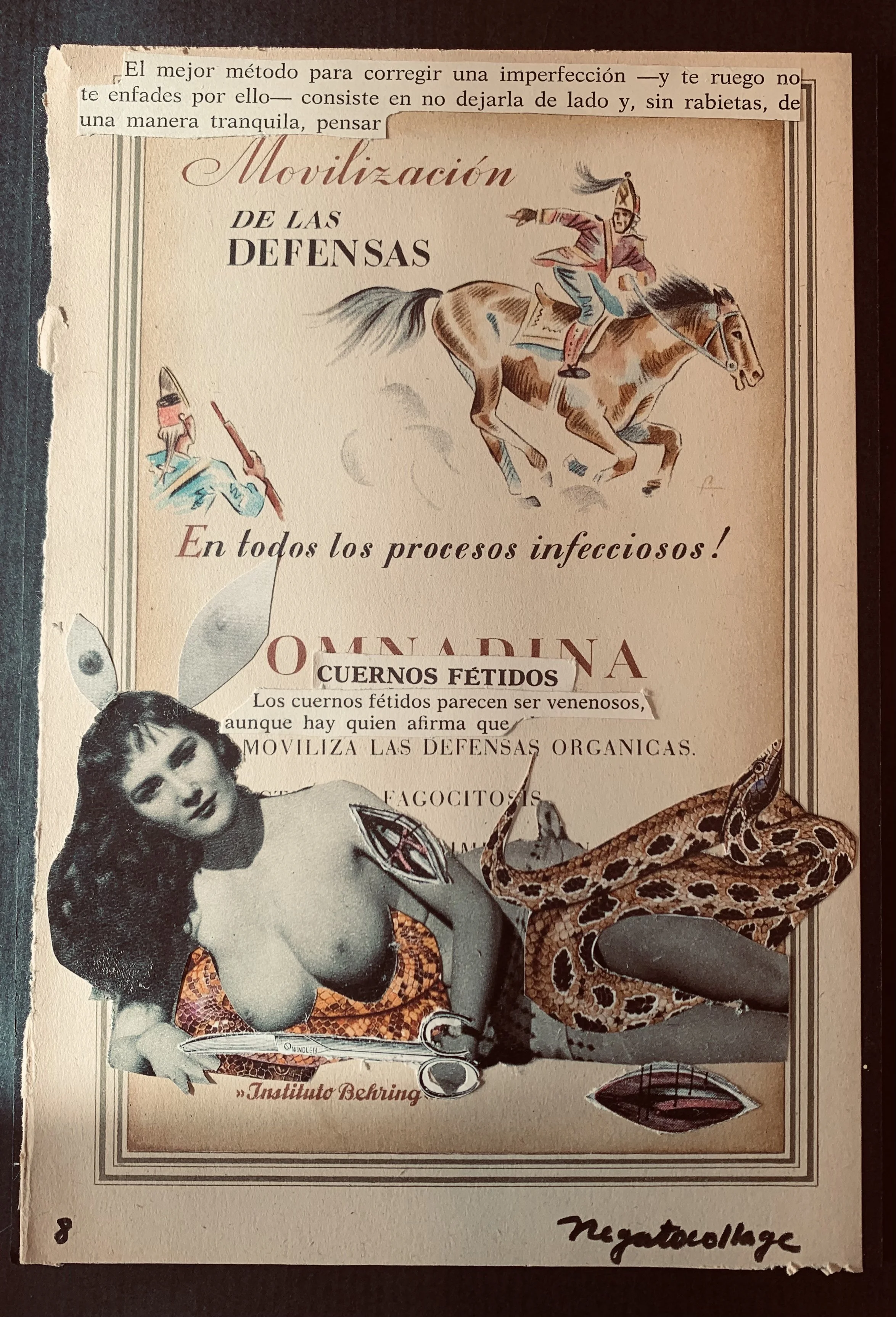 8. Exculpación