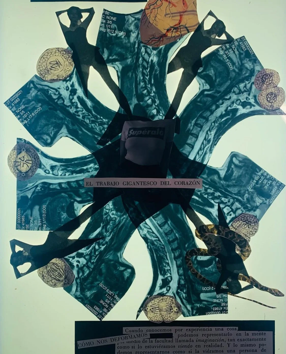 " Lo único constante es el cambio: el trabajo gigantesco del corazón" 2024