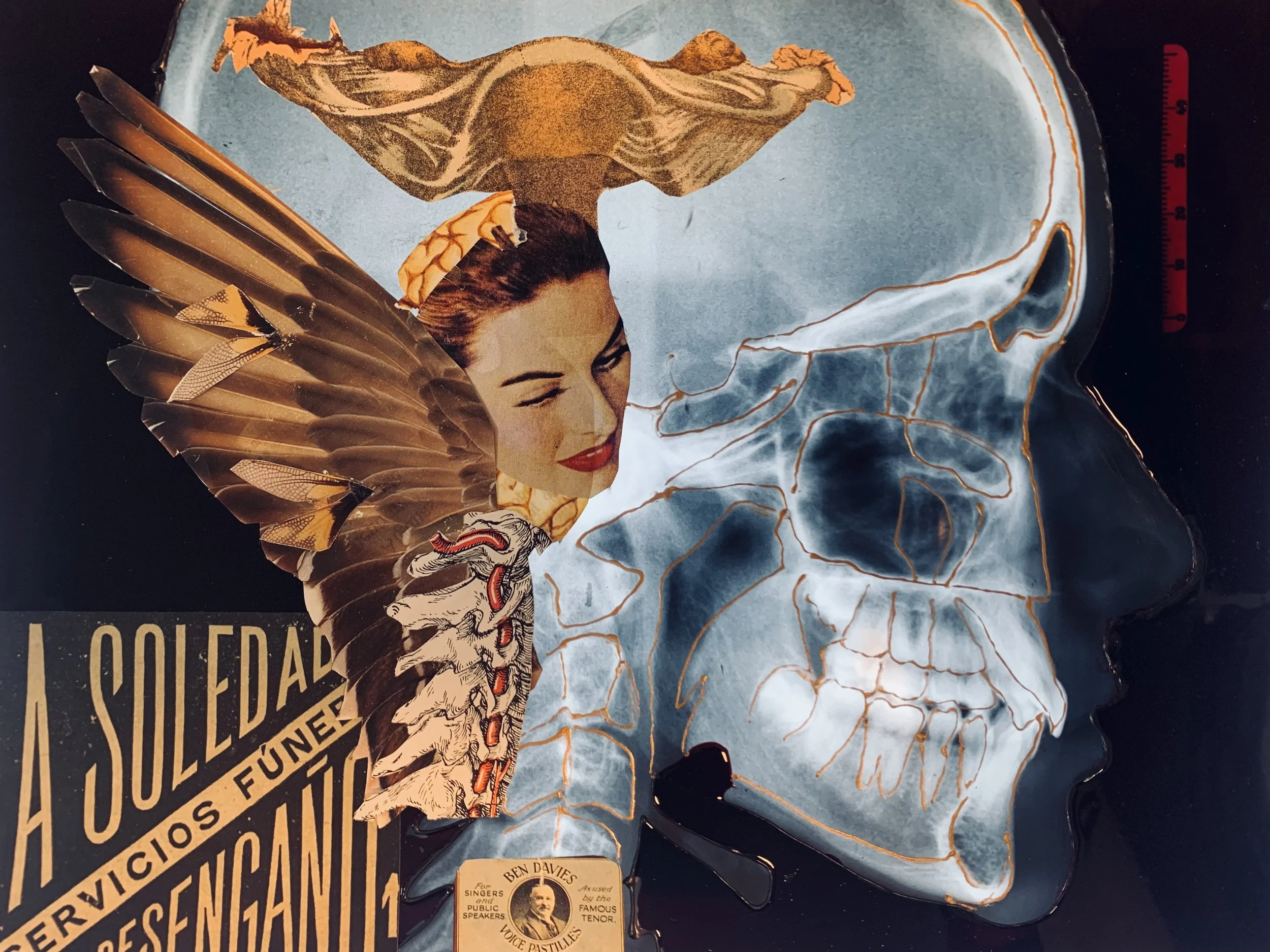 "Trascende-nada" 2026