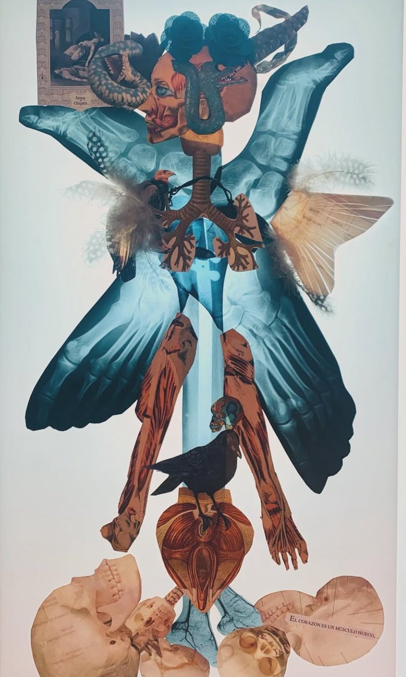 "The goodness of inner wars" 2024