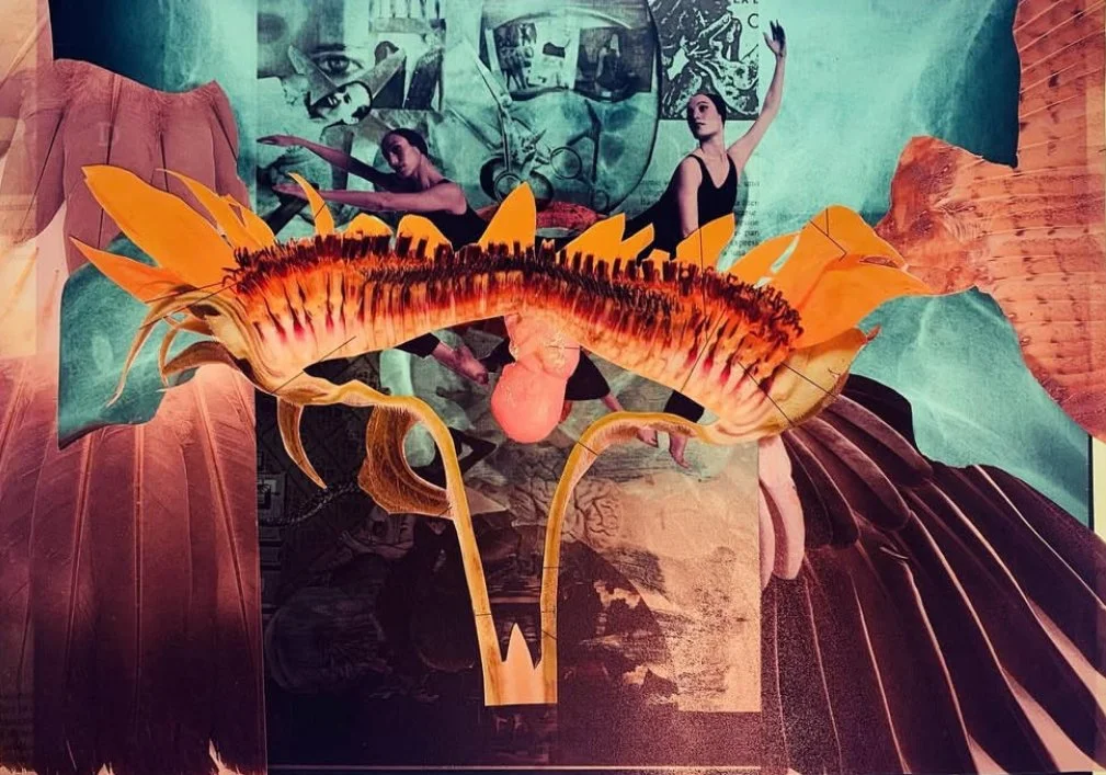 " La pelvis carroñera" 2024