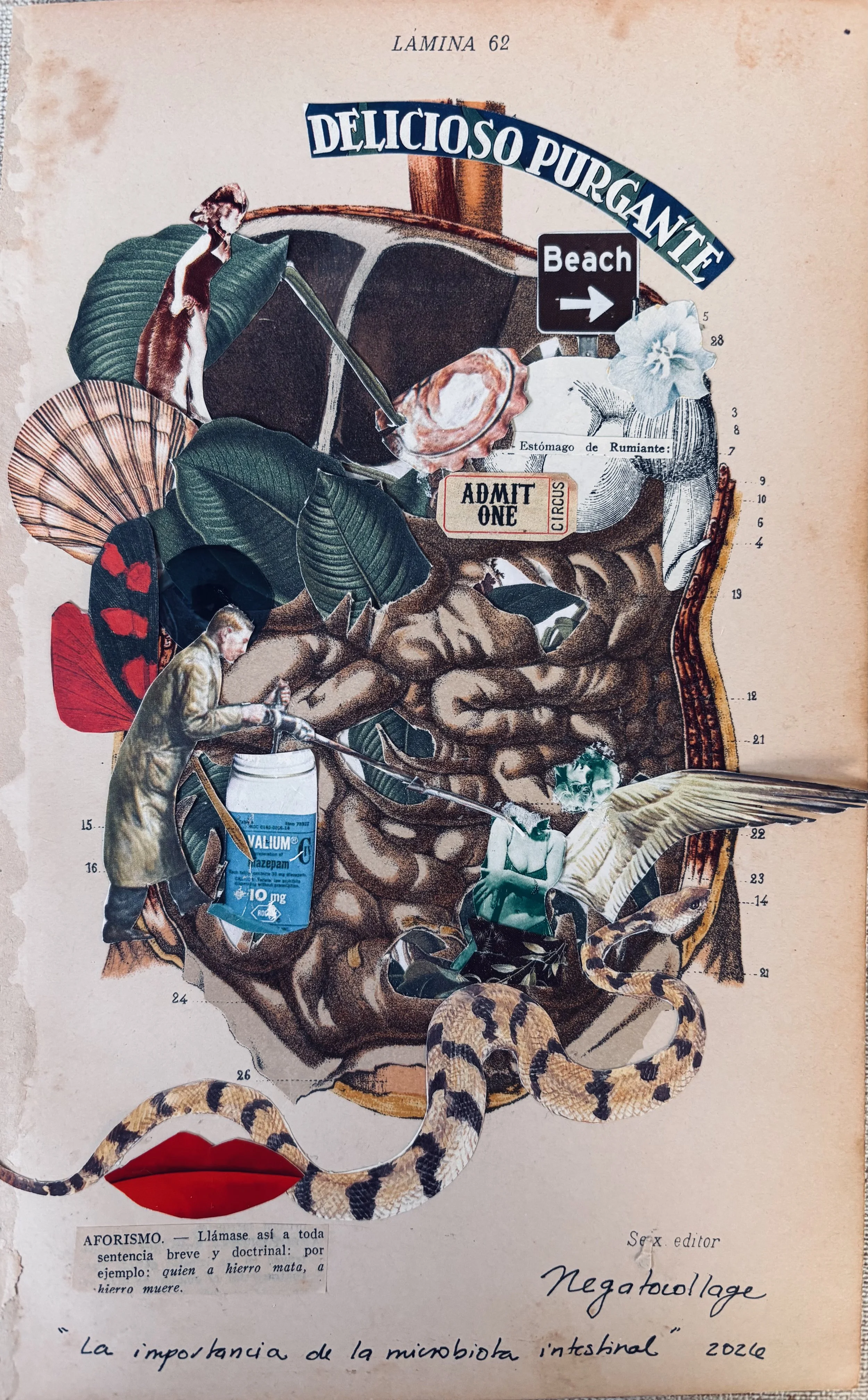 !La importancia de la microbiota intestinal" 2026