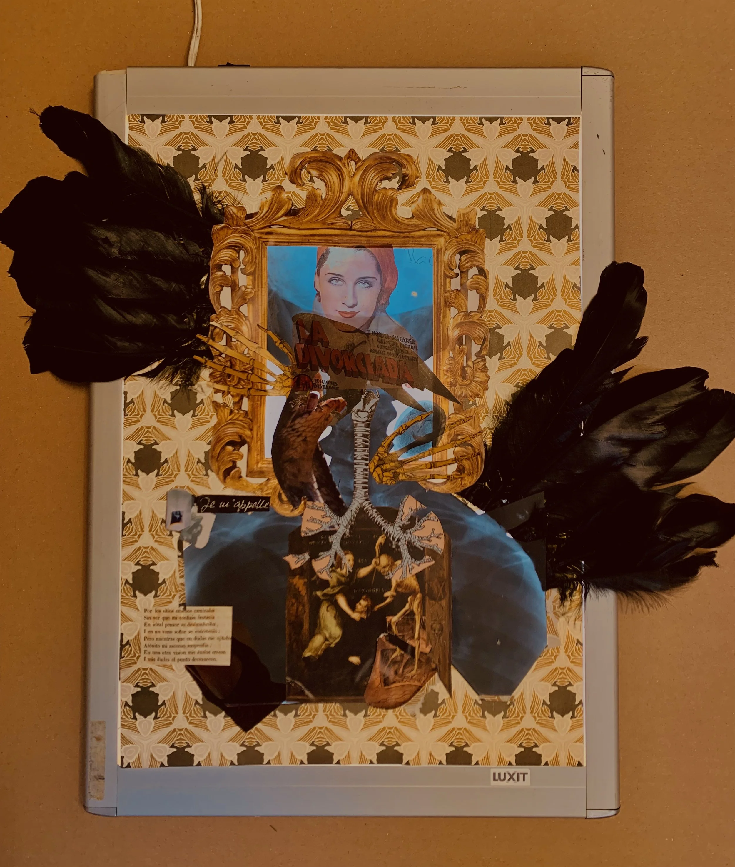 "You wonder what it is about me" 2026