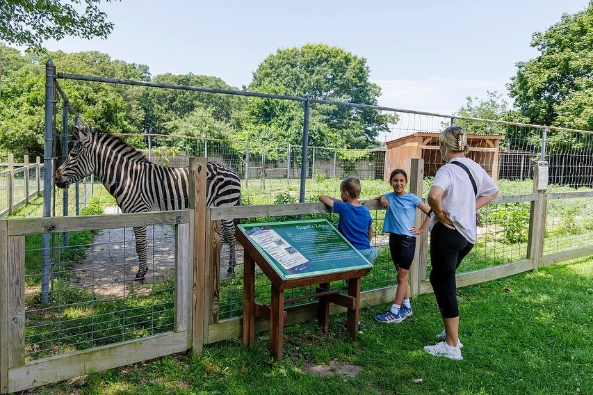 Come spend another beautiful day with us at the farm! 🍂 The seasons are beginning to change and todays looking like the perfect forecast! ☀️

Beginning October 1st we will be Open Thursday through Sunday 10am to 4pm. 💚

🕒 Hours 🕒
Open Weekdays fr
