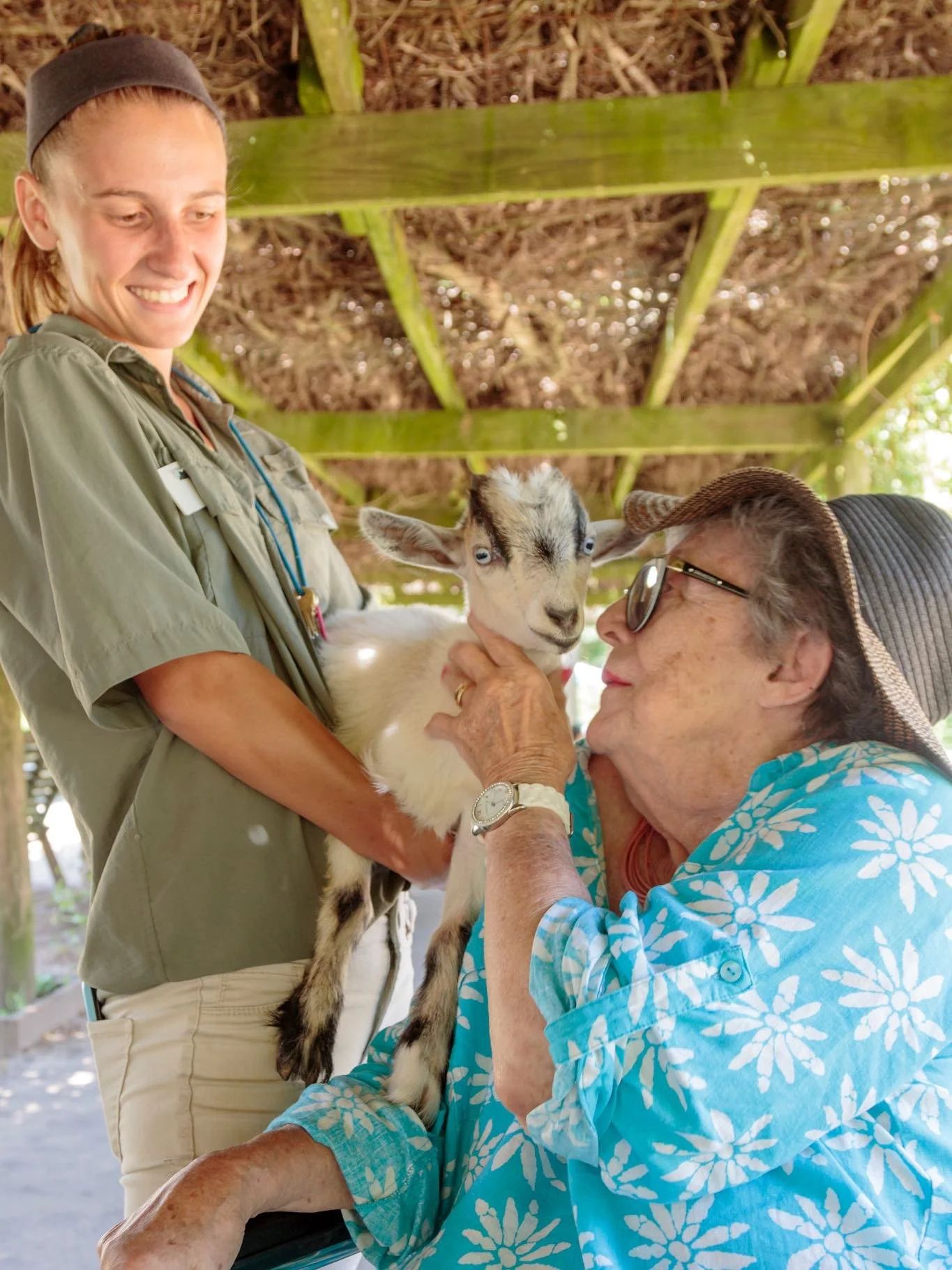 Join us tomorrow, on Thursday October 2nd for our Senior Discount Day. Seniors get Half price (13.50 + tax.) 🐐 AND Nature&rsquo;s Playroom! 

Nature&rsquo;s Playroom event in Woodland Hall happening every Thursday from 11am to 12pm free with general