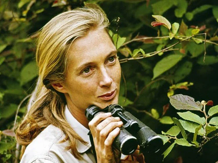 &ldquo;You cannot get through a single day without having an impact on the world around you. What you do makes a difference, and you have to decide what kind of difference you want to make.&rdquo; &ndash; Jane Goodall 🌿🦧

We are all heartbroken to 