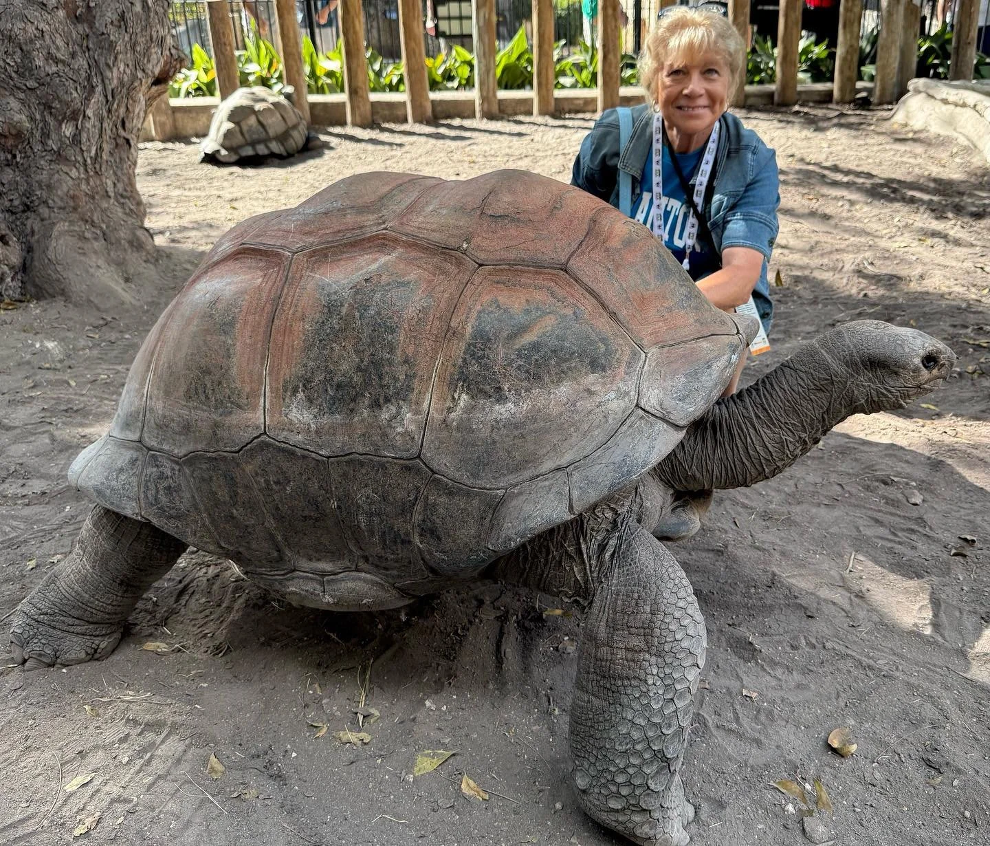 &ldquo;The ZAA convention is the place to be for gaining new insights and networking with others who care for animals. The seminars gave me new knowledge and inspiration to better myself and our park. 🐢

We also had the wonderful opportunity to visi