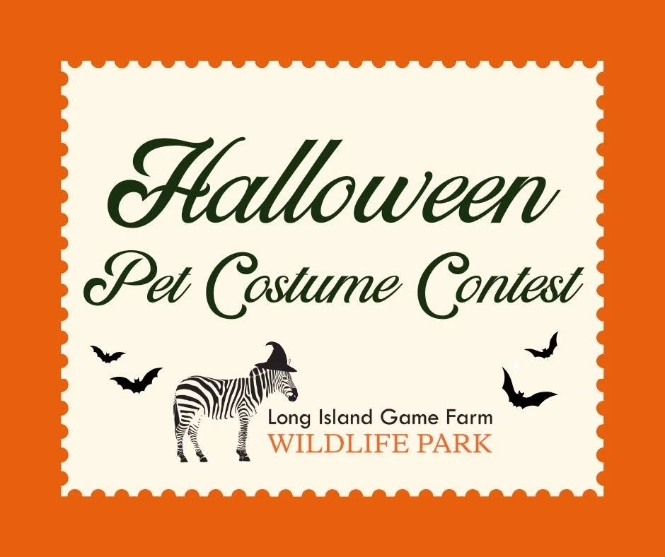 We will be hosting a Halloween Pet Costume Contest during the month of October on our Social Media - Instagram and Facebook @longislandgamefarm 🎃

We're looking for the most creative, funniest, and most adorable pet costumes! 👻

 1st Place: Family 