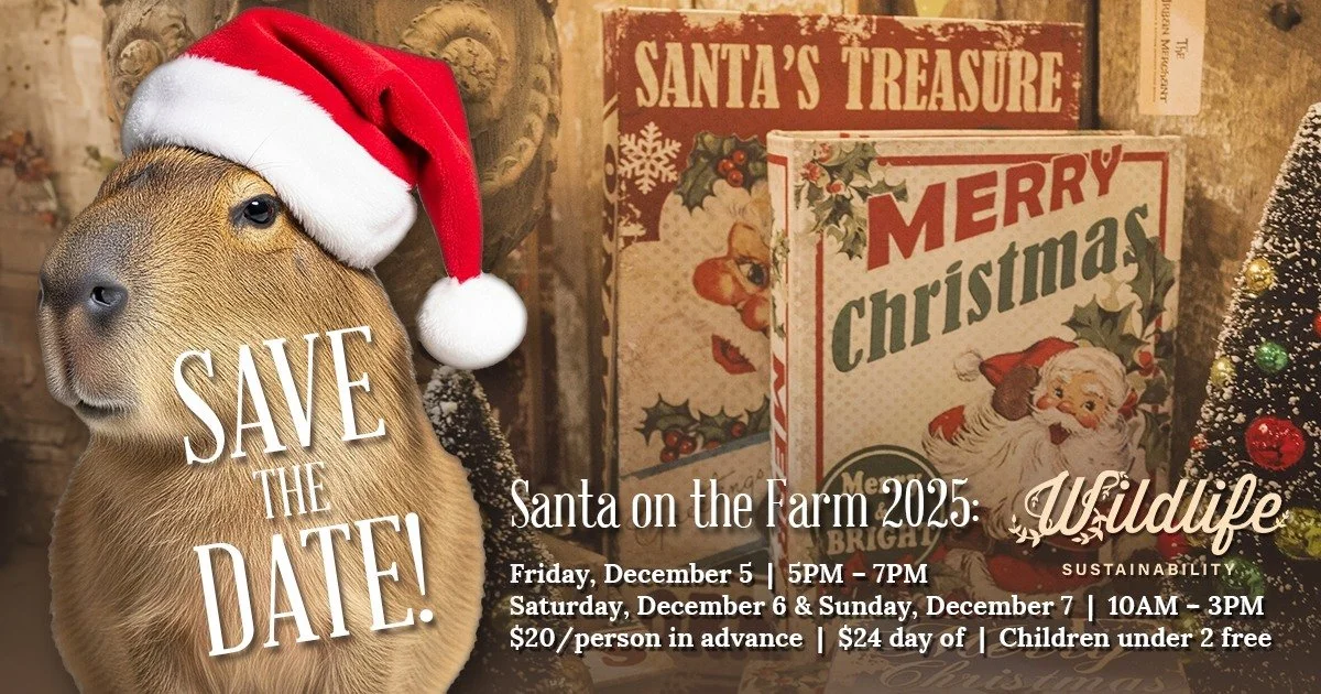 @Holiday Pajama Party (Dec 5)
Say goodnight to Santa and find the heart of the holidays with songs and stories by the fire. Photos and yoga with Santa! PJs encouraged!
Santa on the Farm (Dec 6–7)
Step into the peaceful magic of the season &m