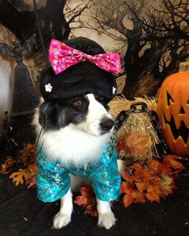 Congratulations to Alan Golnick for winning our Halloween Costume Contest! 🧡 Oreo looks adorable in her costume! 

Please reach out to the park for your prize! 👏

🕒 Hours 🕒
Thursday - Sunday from 10am - 4pm

📞 Phone 📞
631-878-6644

🔗 Website ?