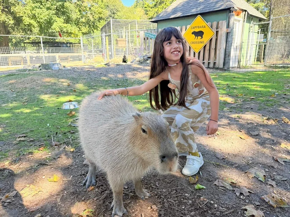 Photos of our visitors enjoying our park will never get old! 🧡 Today is looking like another beautiful fall day at the farm, we hope to see you soon!

🕒 Hours 🕒
Thursday - Sunday from 10am - 4pm

📞 Phone 📞
631-878-6644

🔗 Website 🔗
www.longisl