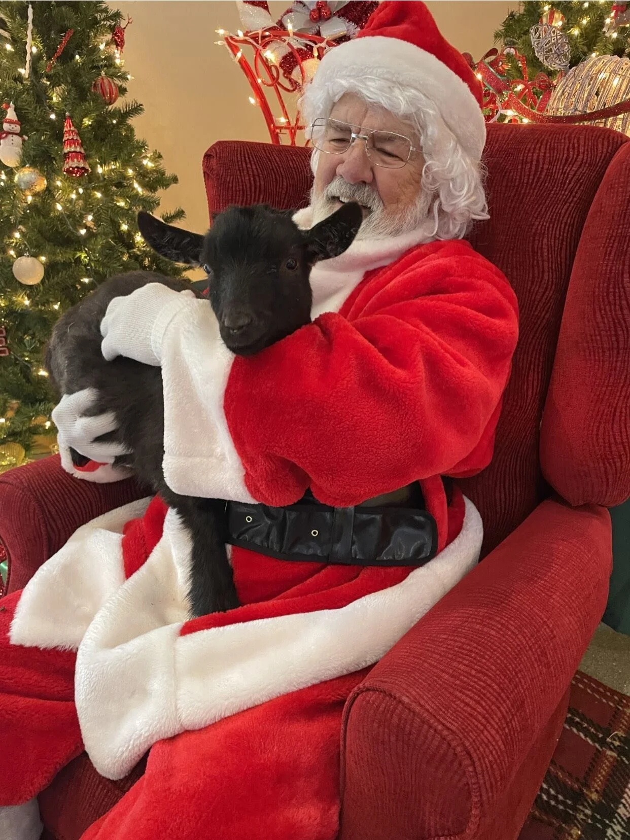 Who is joining us next week for Santa to join us on the Farm!🎅🏼 Register in advance to save on your tickets! December 5th through the 7th, we will have plenty of holiday activities to join in on! ✨

Santa on the Farm 🐐
Dates: Saturday December 6, 