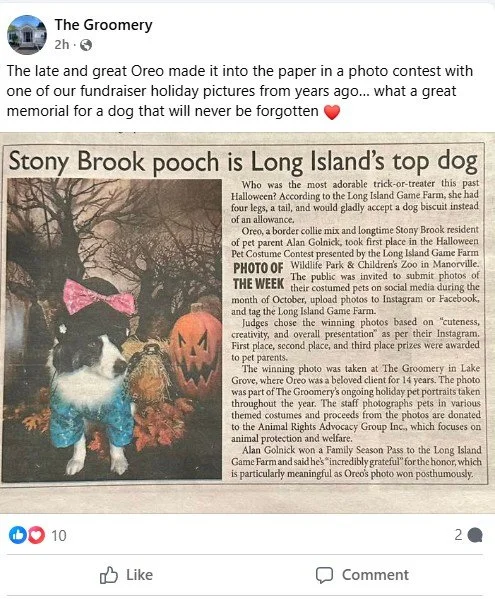 We were so happy to see that the Groomery of Lake Grove, NY posted this article of Oreo winning our Halloween Costume Contest. Much thanks to Alan Golnick for sending us this article, and to www.tbrnewsmedia.com for publishing the story 

📞 Phone 📞