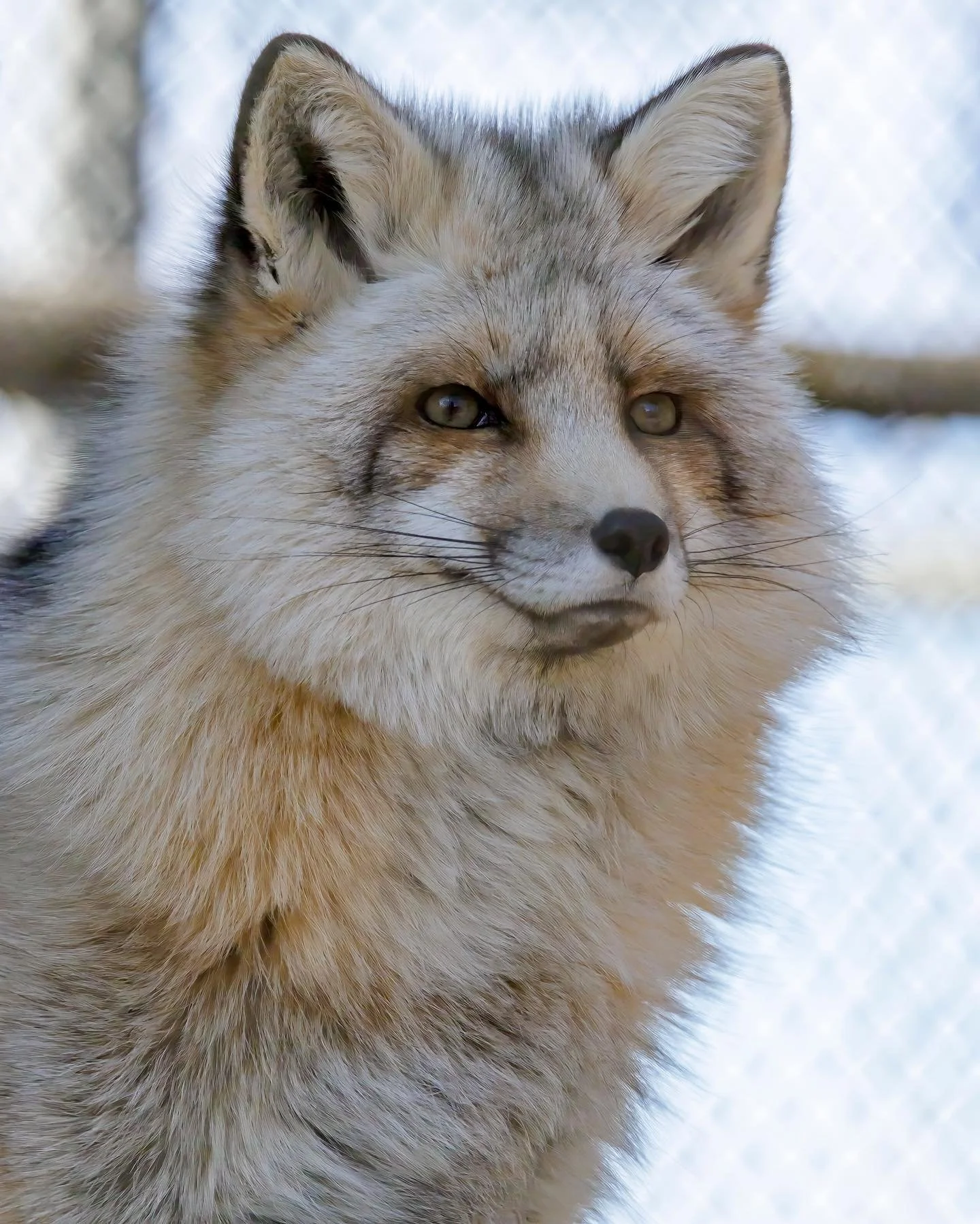 Happy Holidays from the animals and our staff! 💚
Wishing you all the best of the holiday season and a happy and healthy new year.

It&rsquo;s been a wonderful year with all of you! Thank you for all your support. As we head into the new year, we&rsq