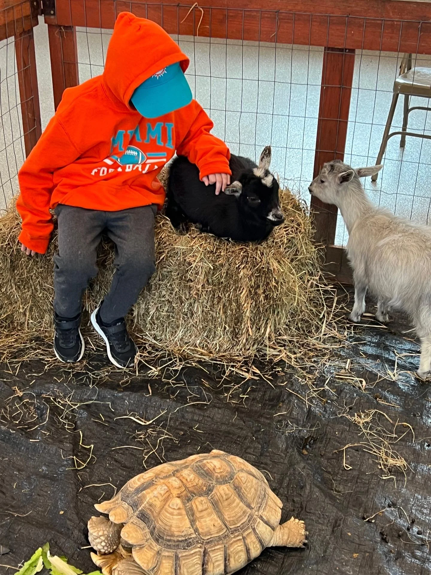 Camp Zoo Winter Edition! Join us for a three day adventure - where campers get up close with wildlife, explore the wonders of our local environment, and experience the beauty of the season. 🐐❄️

Link provided on our profile page! 🔗

Monday February