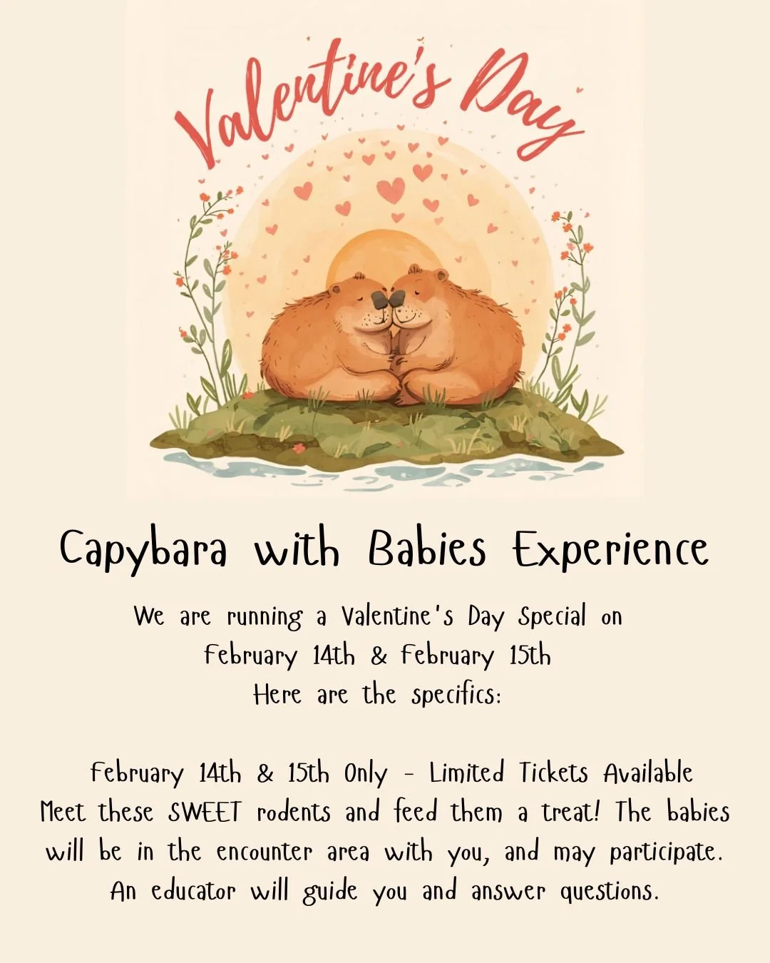 Meet these SWEET rodents and feed them a treat! ❤️ The babies will be in the encounter area with you, and may participate. An educator will guide you and answer questions.

Plus, pose with our Valentine themed backdrop for a photo op and receive a SW