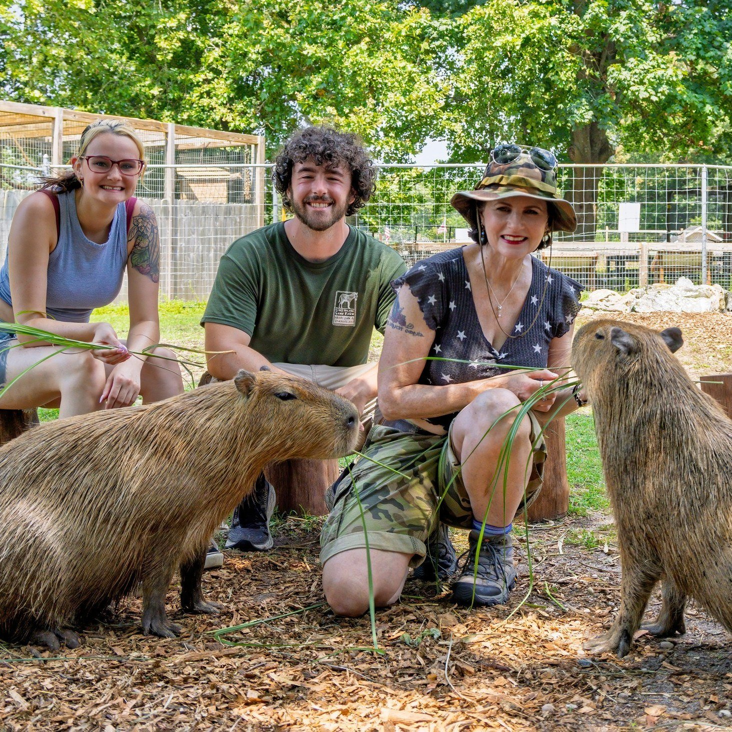We are hiring for Spring/Summer 2026! 🤝

Apply today with the link on our profile page! 🔗

Part-Time Spring 🌱
Full-Time Summer ☀️
Positions available in Education, Tickets, Trails, and Nursery.

Education:
Age 18+, weekend availability required. M